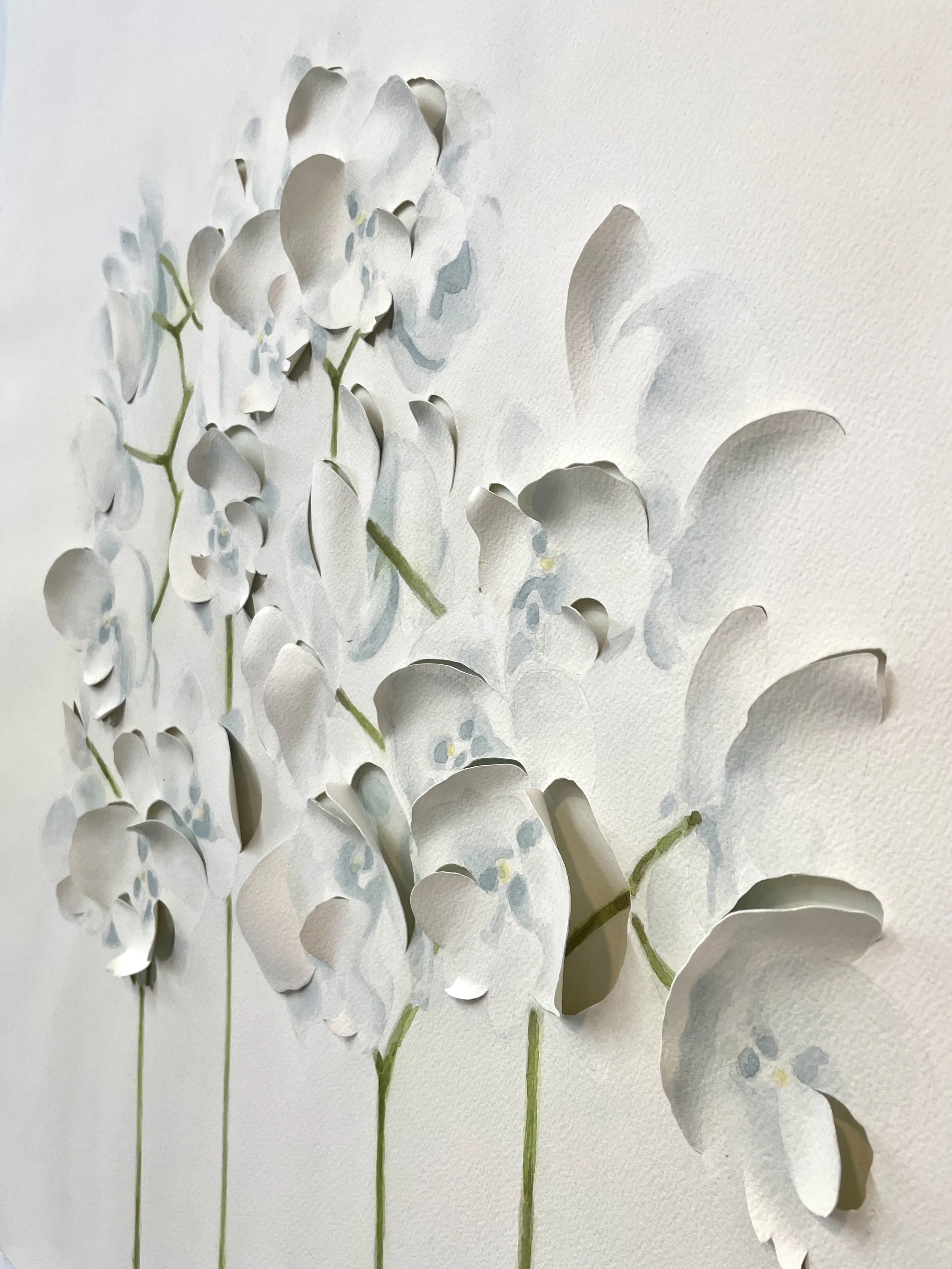 A Study of Orchids, 2025; Watercolor on shaped paper, 24 x 36 inches - detail