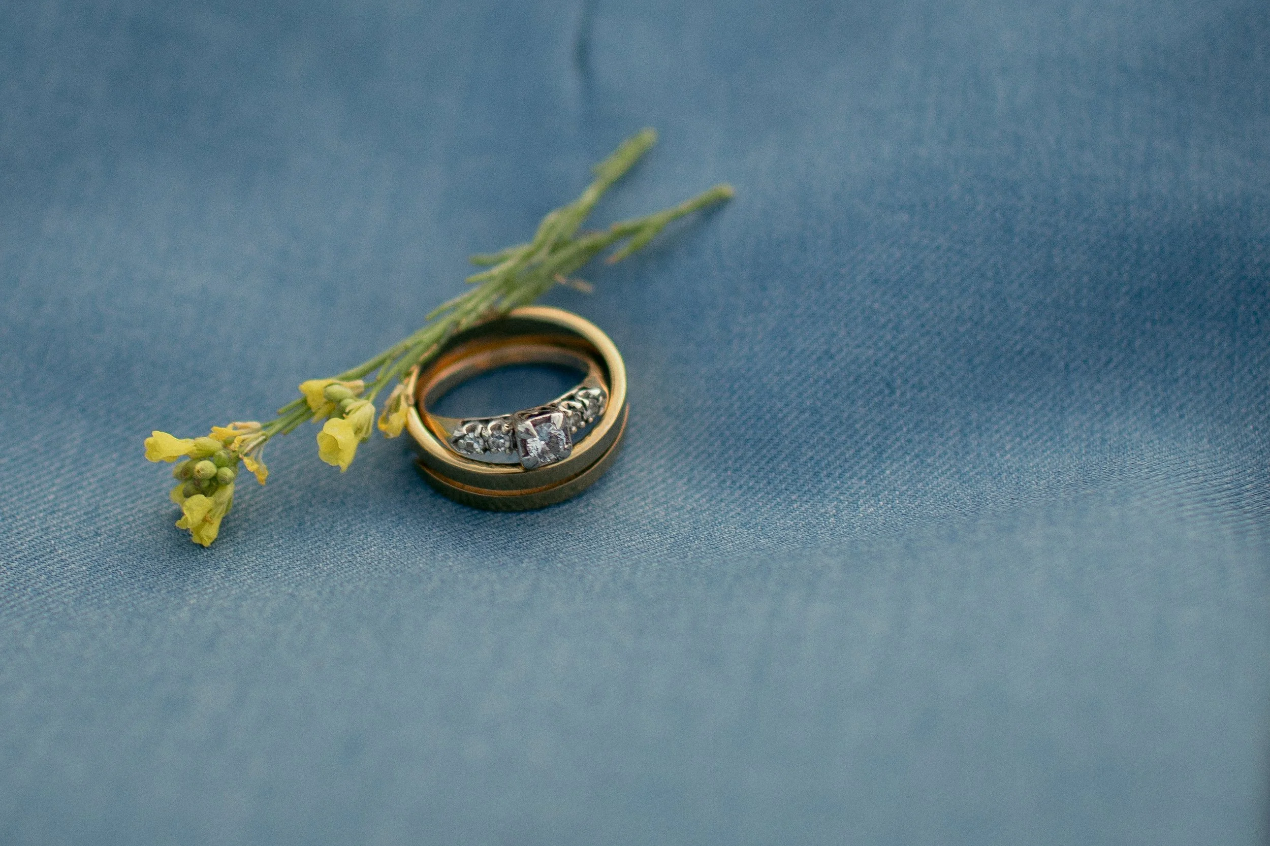 Diana and Bryan 2025-82.jpg