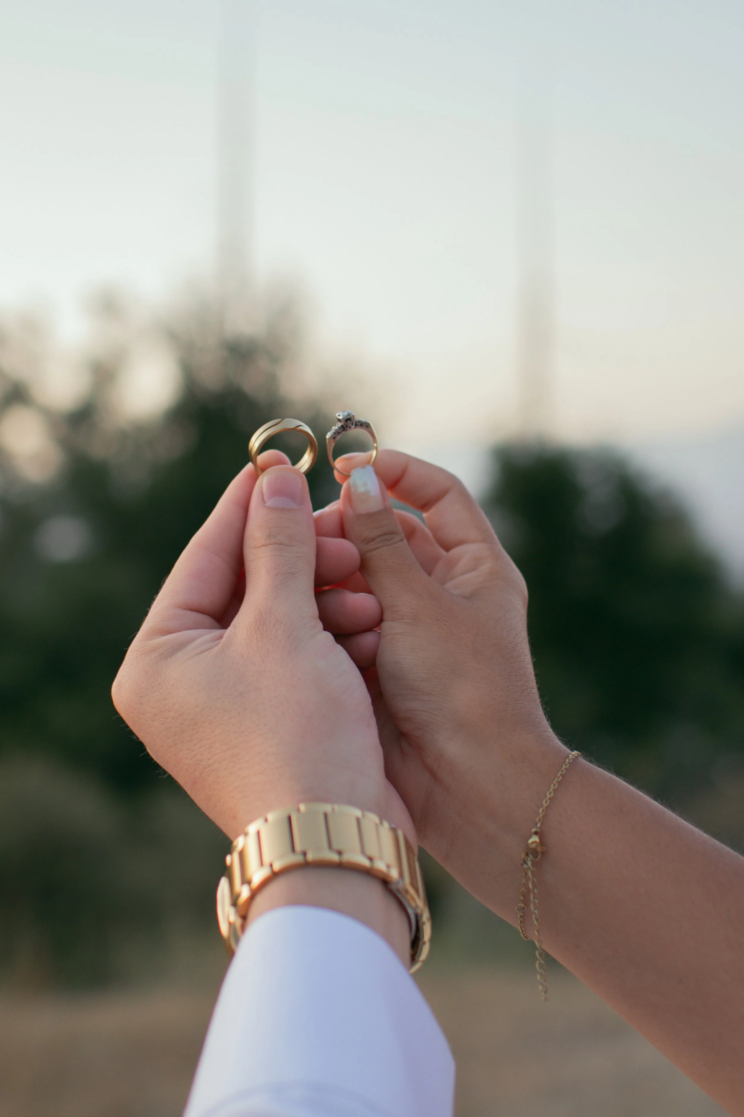 Diana and Bryan 2025-84.jpg