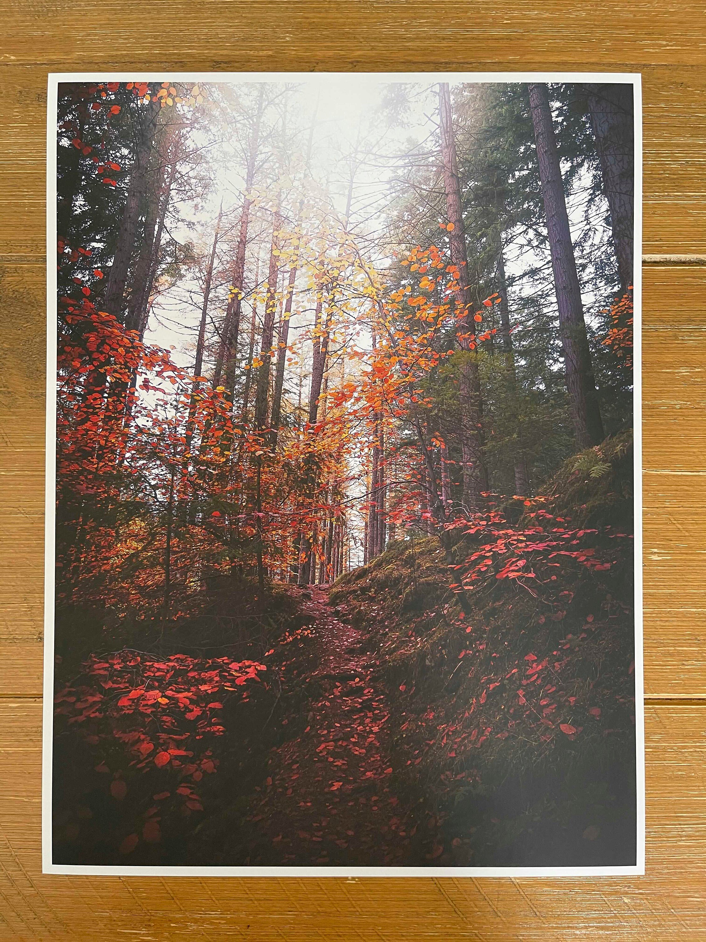 https://i.etsystatic.com/27929987/r/il/eccf4b/3033118188/il_fullxfull.3033118188_oiuq.jpg