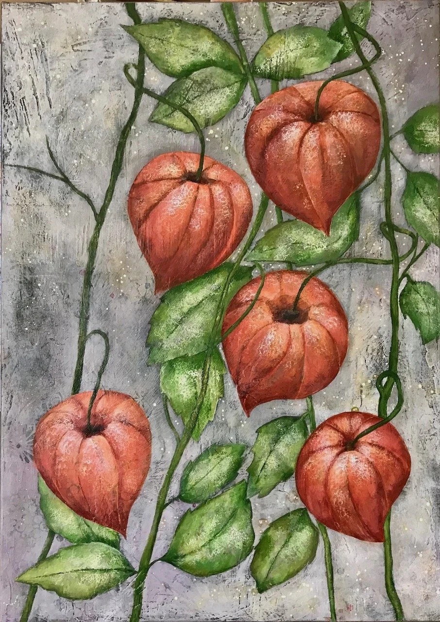 Physalis