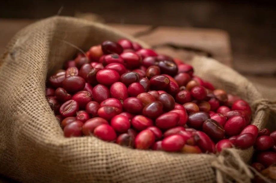 Coffee bean image.jpeg