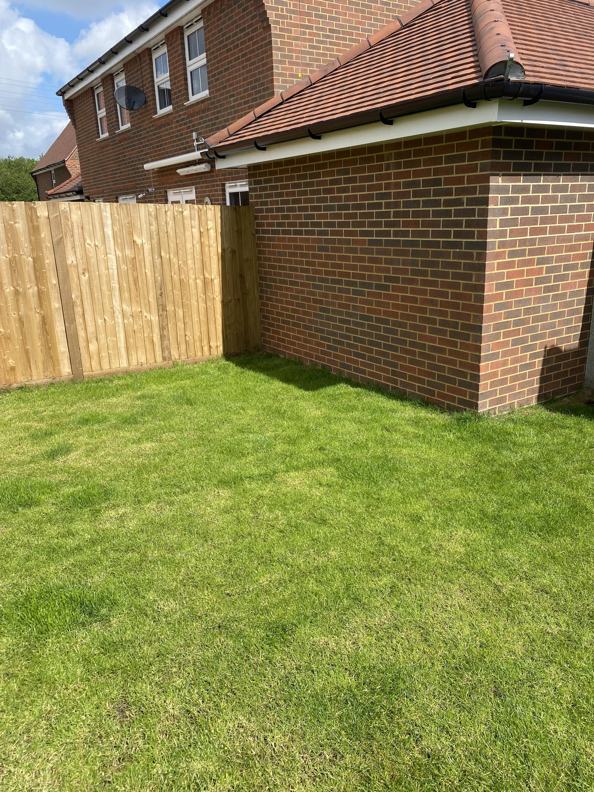 Sally Hart Garden Design_Tongham_Before1-min.jpeg