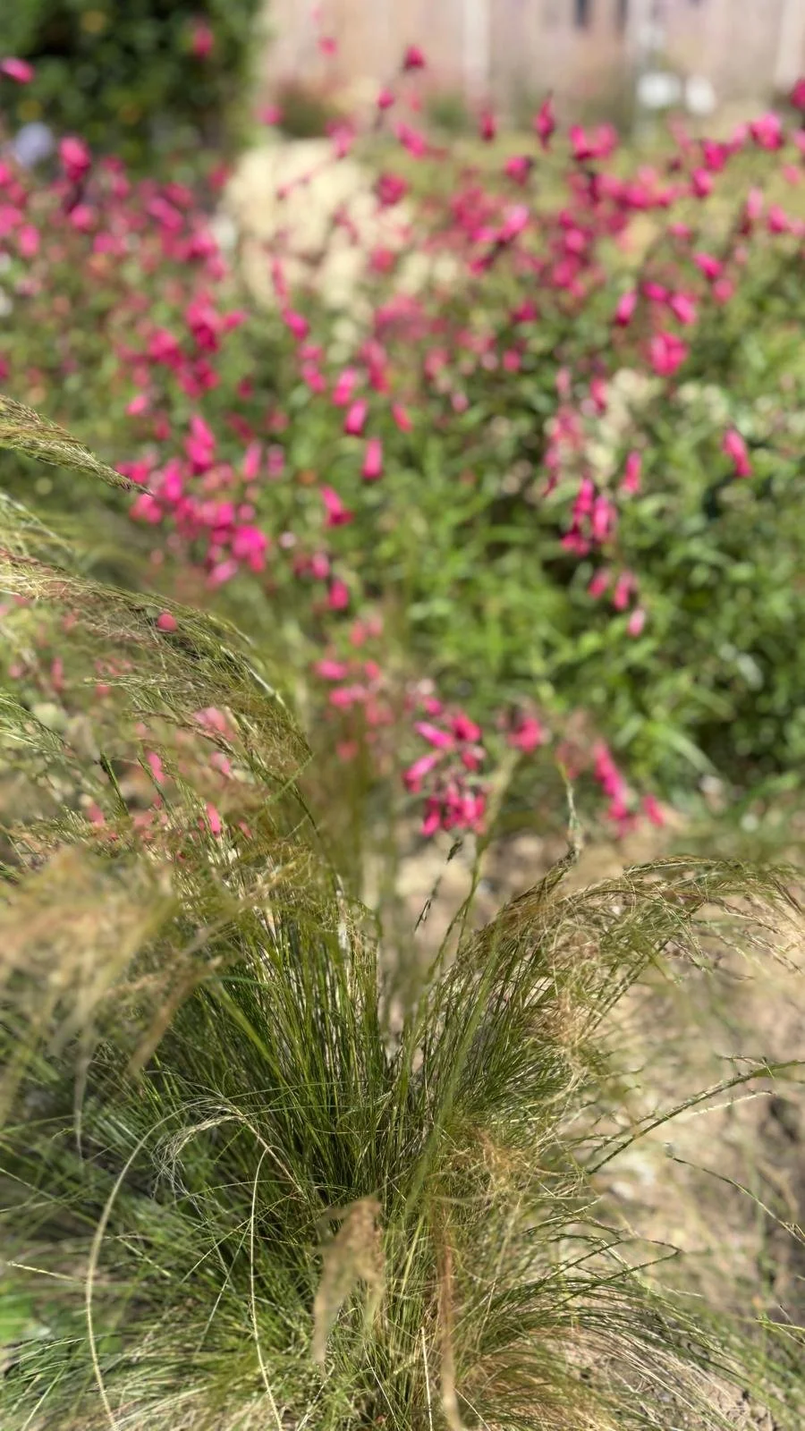 WhatsApp Image 2025-10-05 at 19.06.24 (11).jpeg