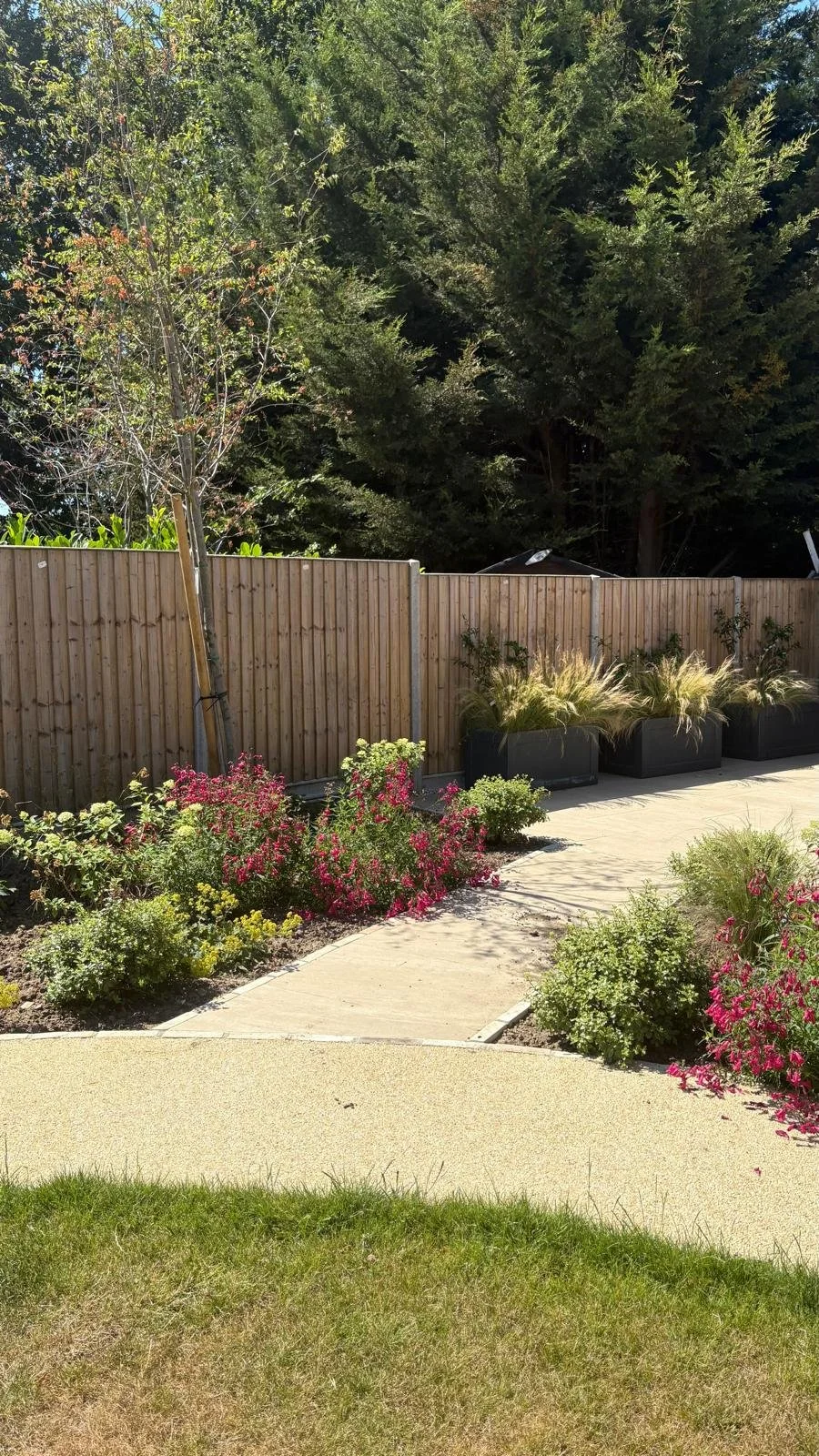 SE London Large Garden