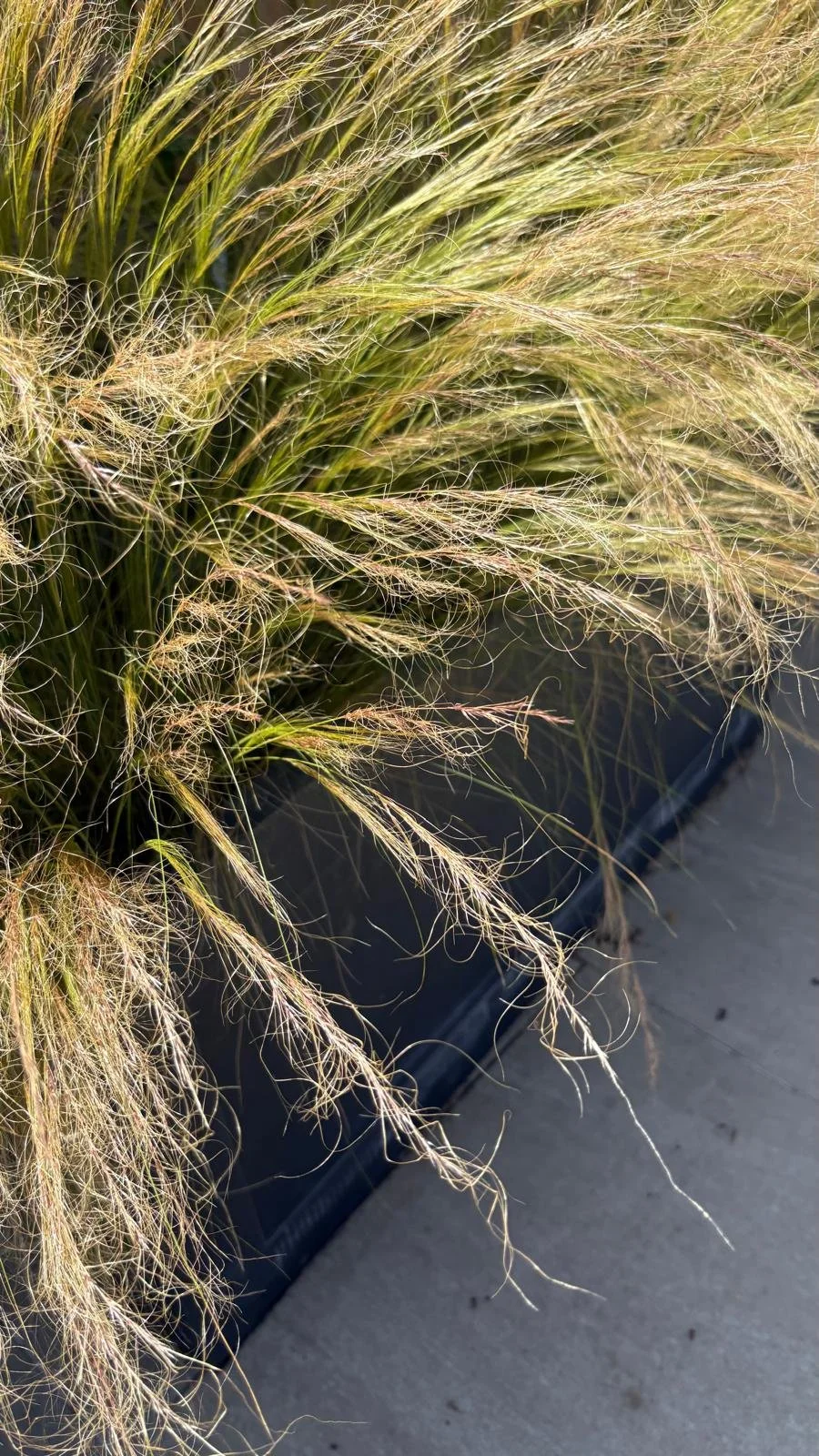 WhatsApp Image 2025-10-05 at 19.06.24 (4).jpeg