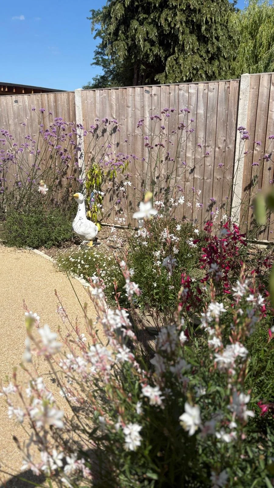 WhatsApp Image 2025-10-05 at 19.06.24 (1).jpeg