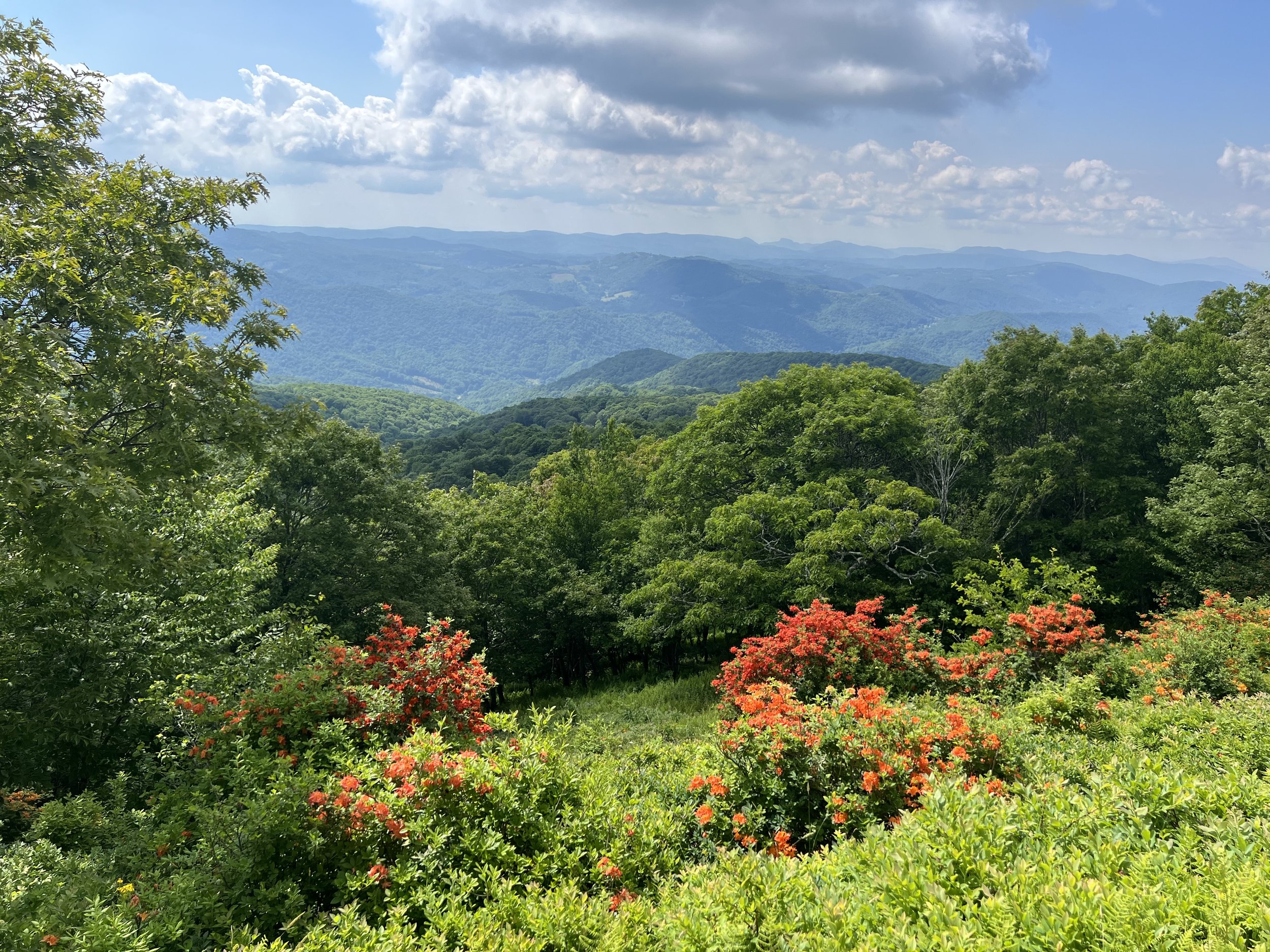 IMG_2743.jpeg