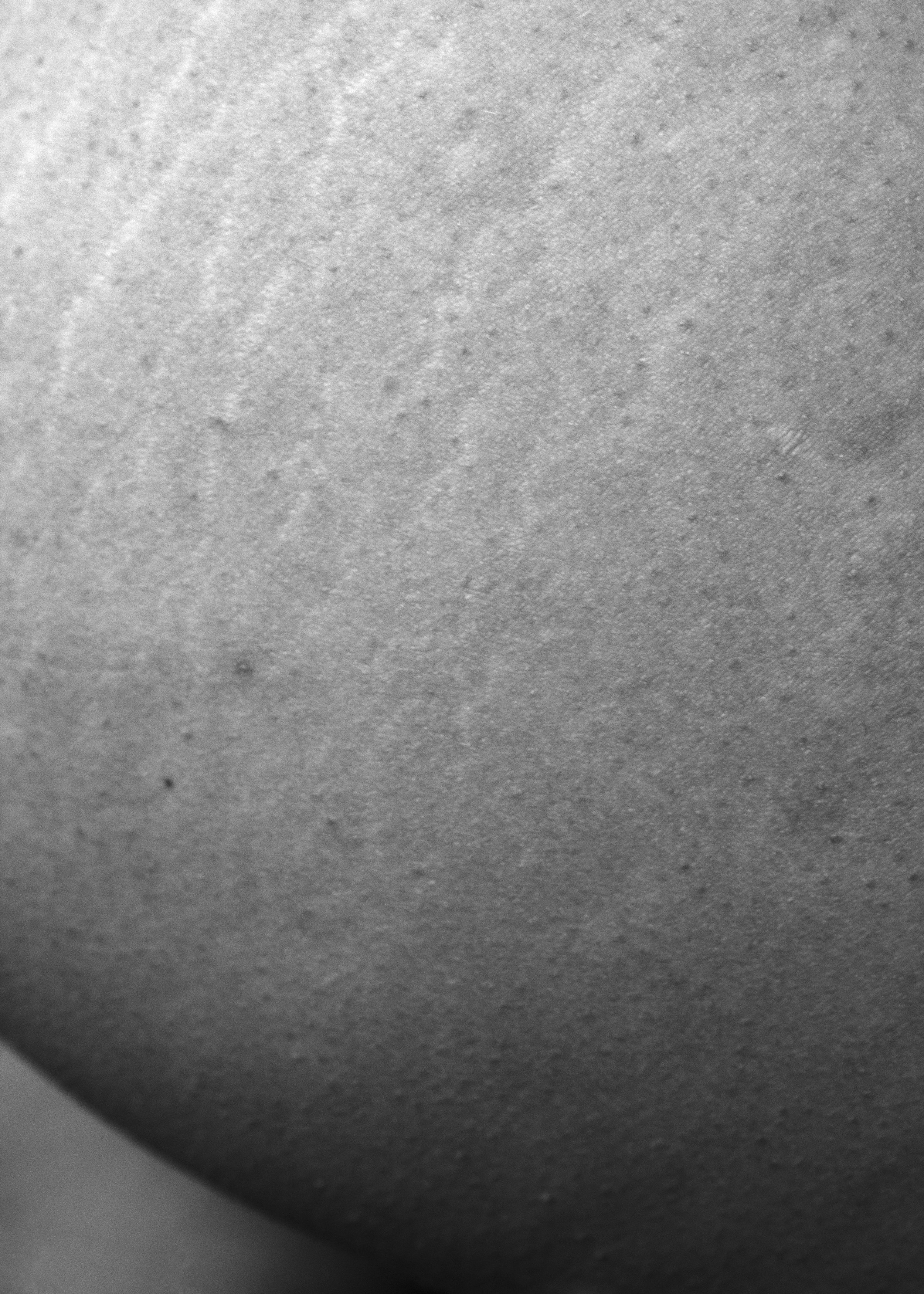 Pedersen.FinalPhotos#4.jpg