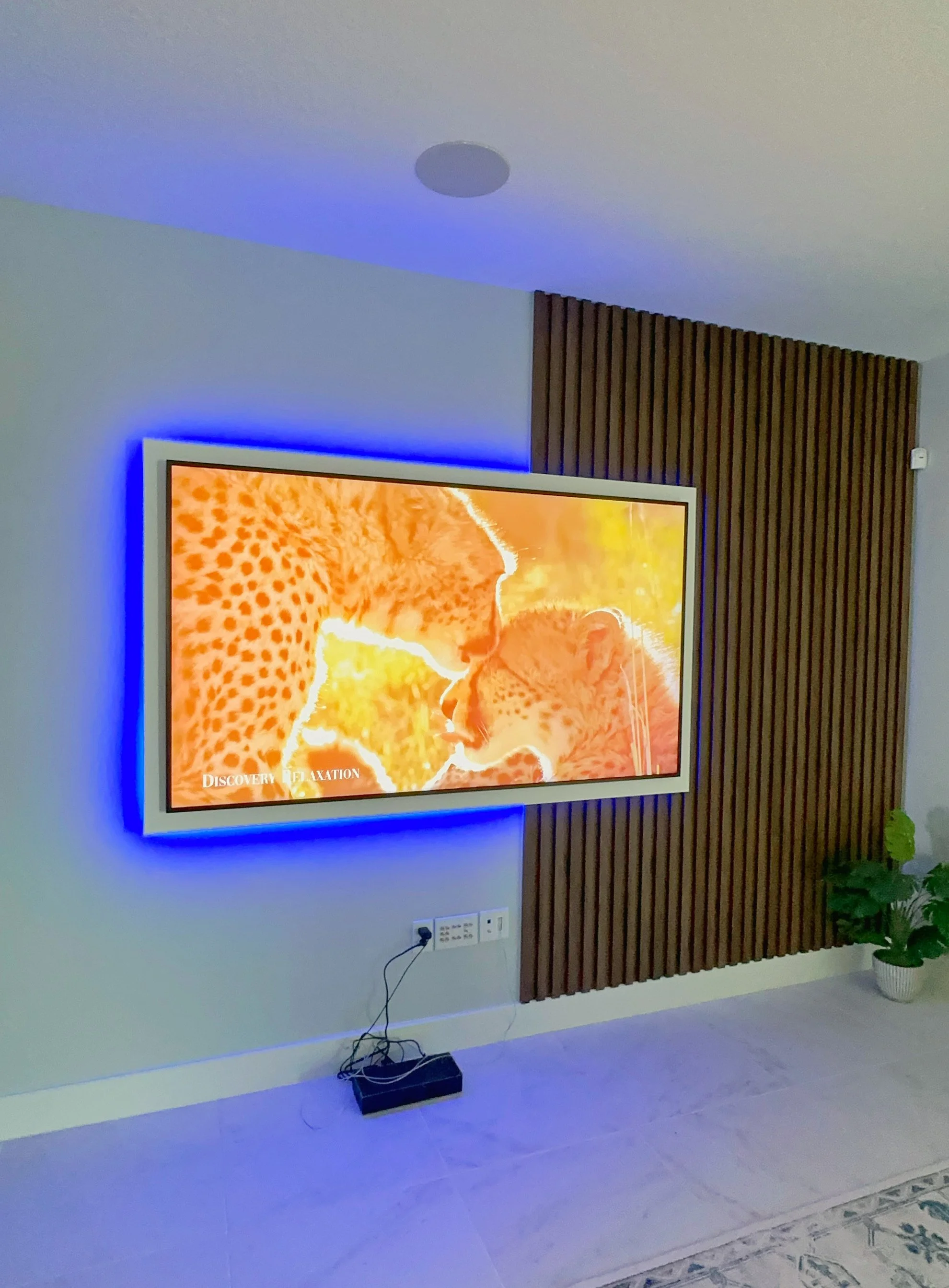 Living room with a wall-mounted flat-screen TV displaying an image of two cheetahs touching noses. The TV has blue LED backlighting. There is a plant in a white pot on the floor to the right of the TV, and a patterned rug partially visible at the bot