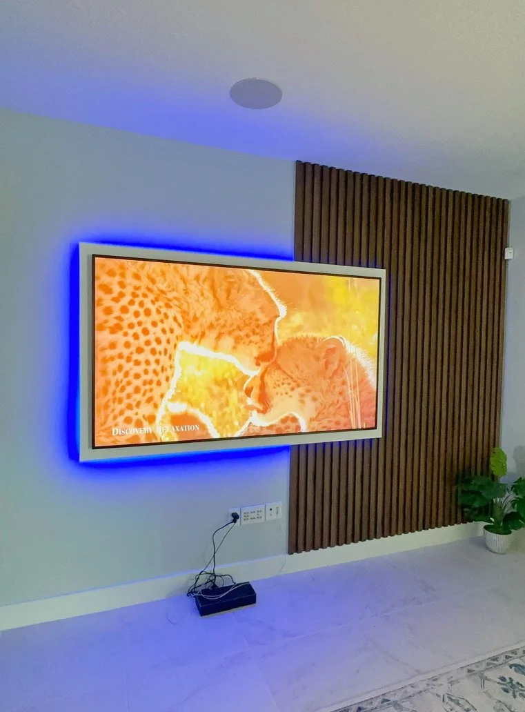 Living room with wall-mounted flat-screen TV displaying a close-up image of two cheetahs touching noses, surrounded by blue LED backlighting, wooden panel decor on the wall, and a potted plant in the corner.