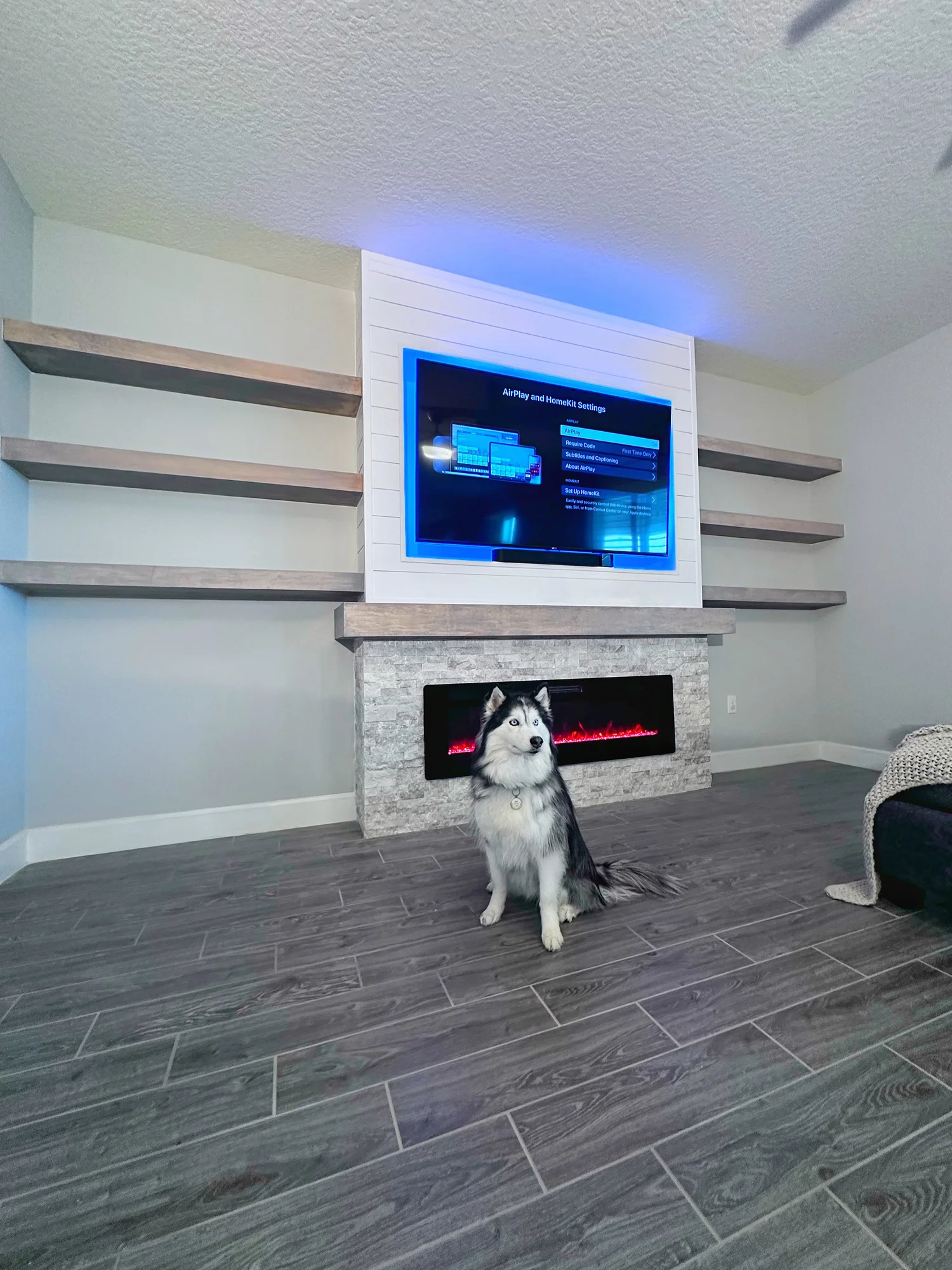 A Husky dog sitting in front of a modern fireplace, with a mounted television above displaying a settings menu, in a living room with gray walls and dark wood flooring.