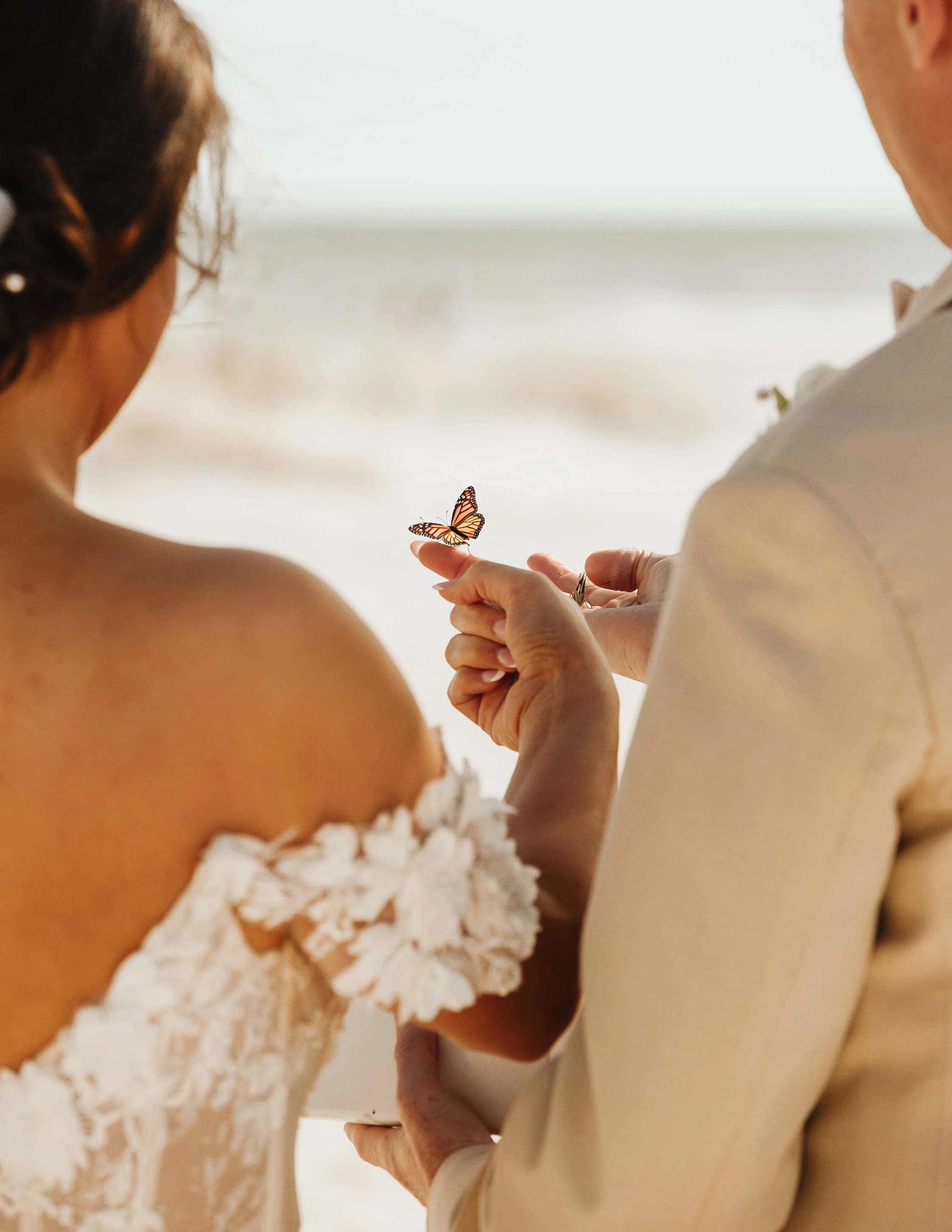 A couple exchanging rings during a wedding or romantic ceremony, with a butterfly perched on one person's finger.