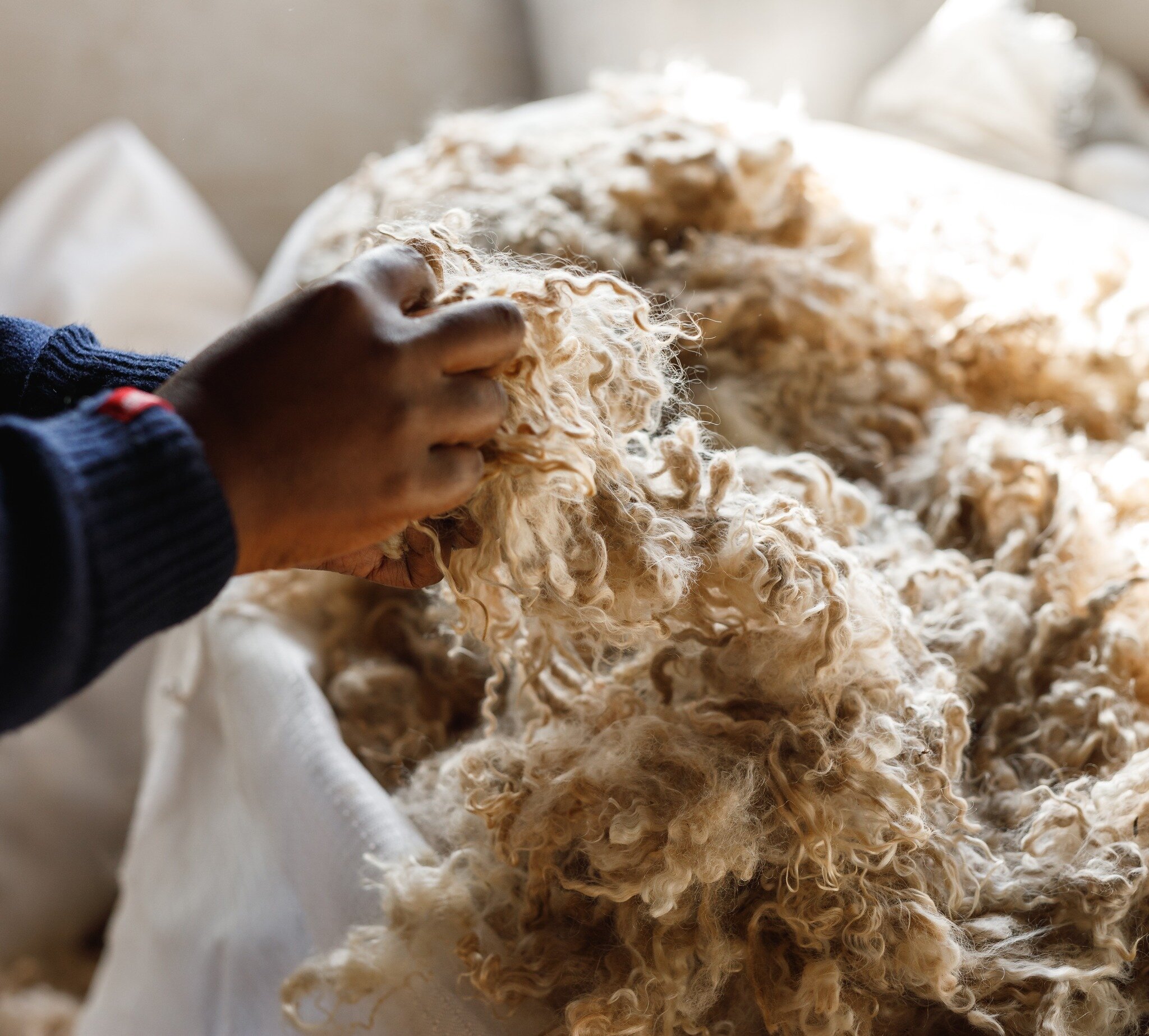 The 6th Mohair Sale of the Winer Season ✨ takes place on the 22nd of November 2022. There will be 100 288kg of mohair on offer, of which 86% is RMS certified (86 873kgs).

As always we'd like to wish all the sellers &amp; buyers the best of luck. 

#