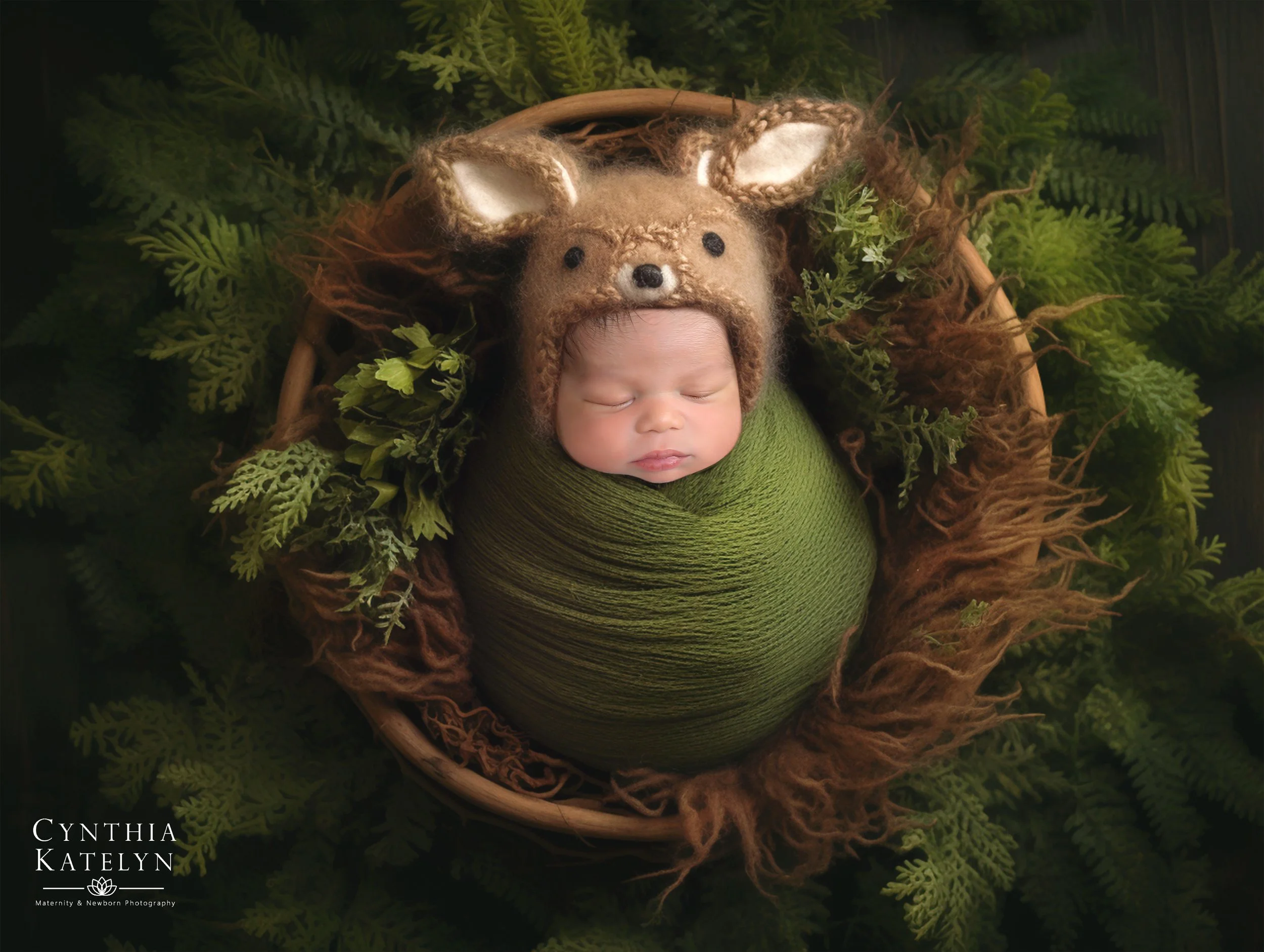 Fox & Ferns-logo.jpg