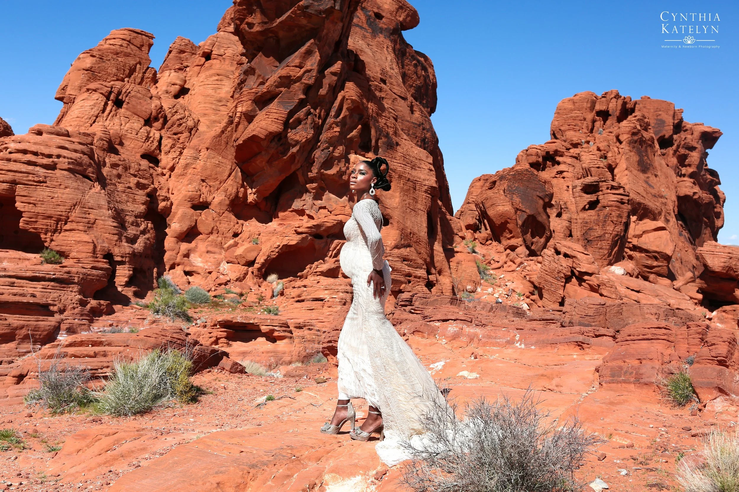 Desert4logo - resized.jpg