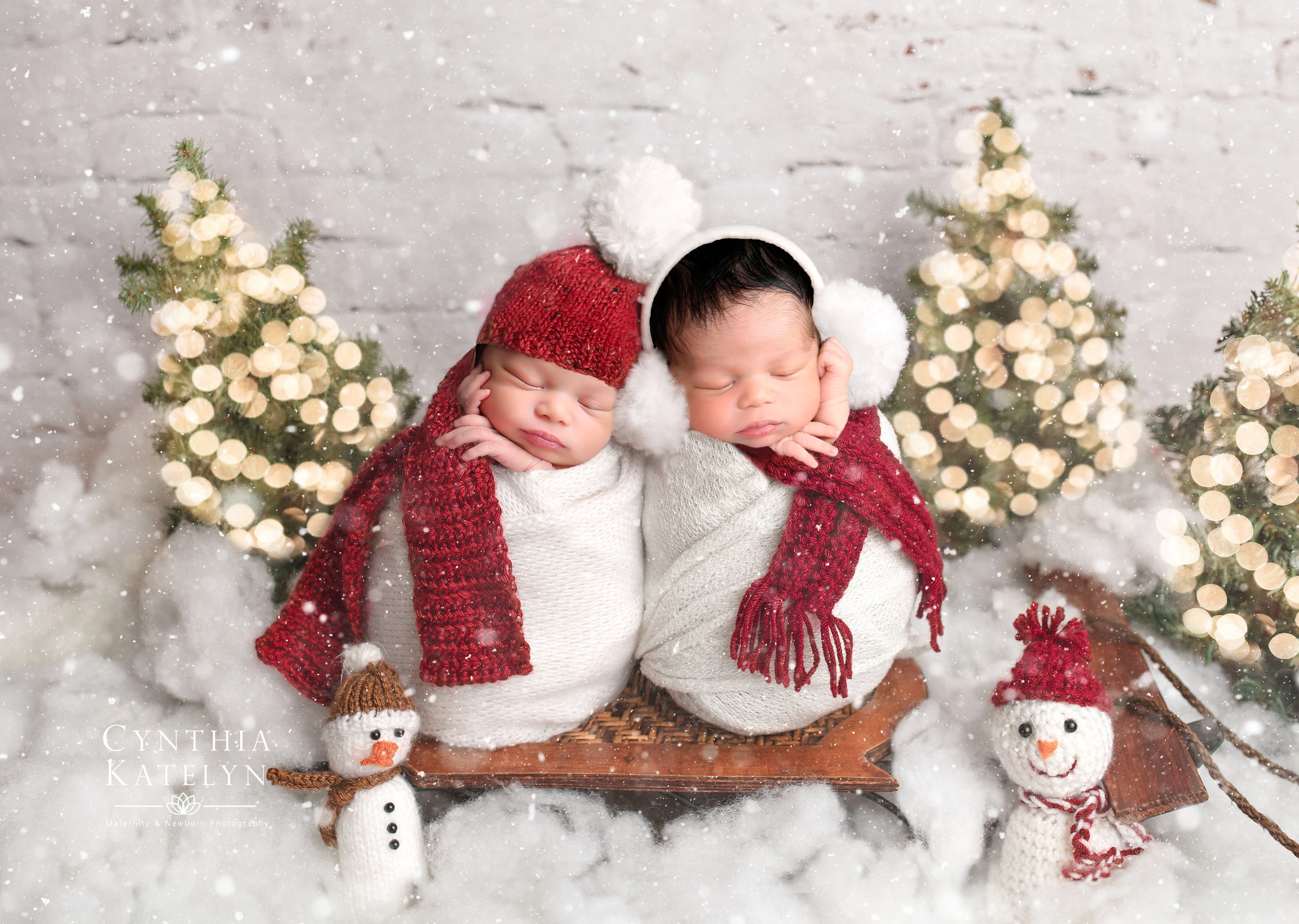 snowtwinslogox (2).jpg