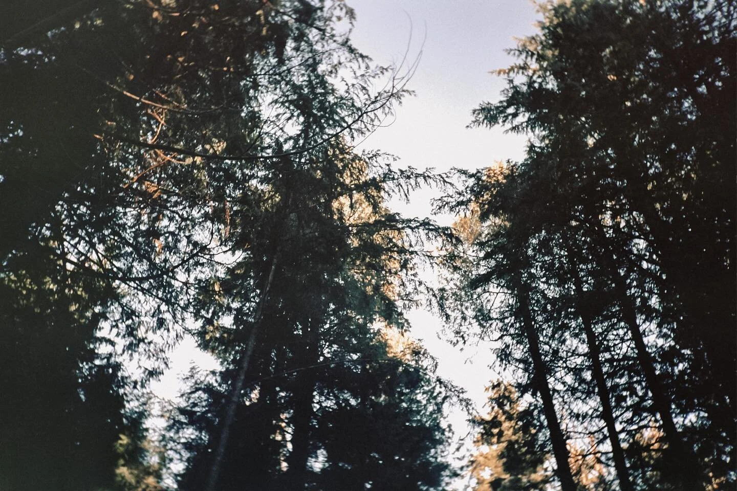 december film (before the snow) ✨