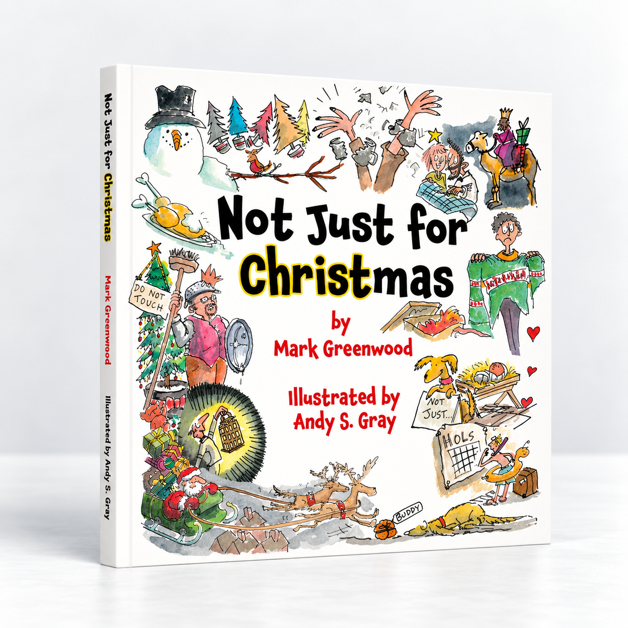 Not Just For Christmas