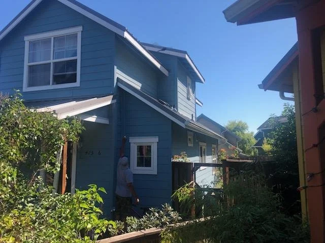 Salal, San Juan Community Home Trust