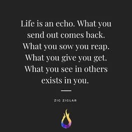 Quote by Zig Ziglar that says: Life is an echo. What you send out comes back. What you sow you reap. What you give you get. What you see in others exists in you.