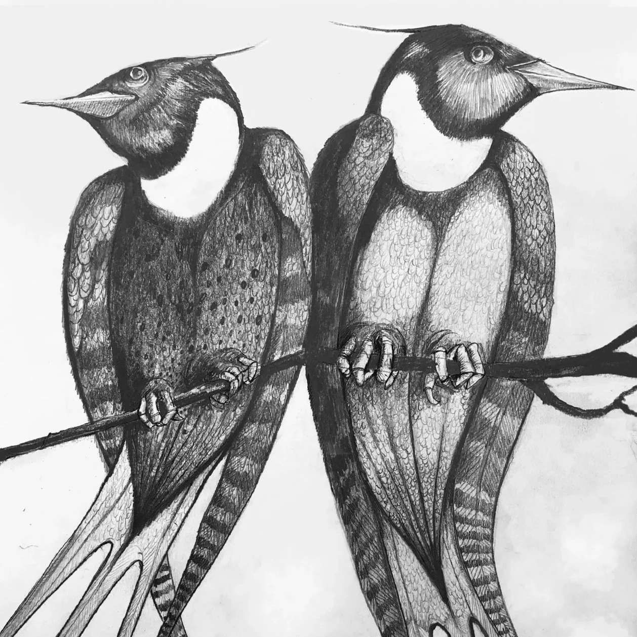 Kith and Kithelame's Story