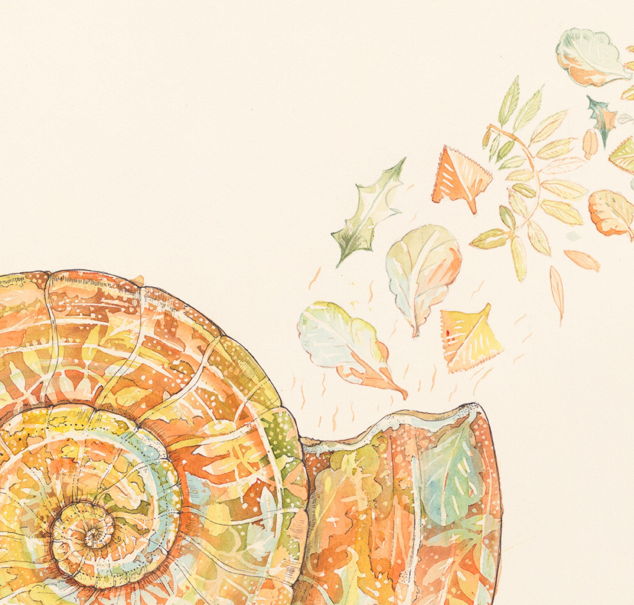 Orange Ammonite ane leaves copy.jpg