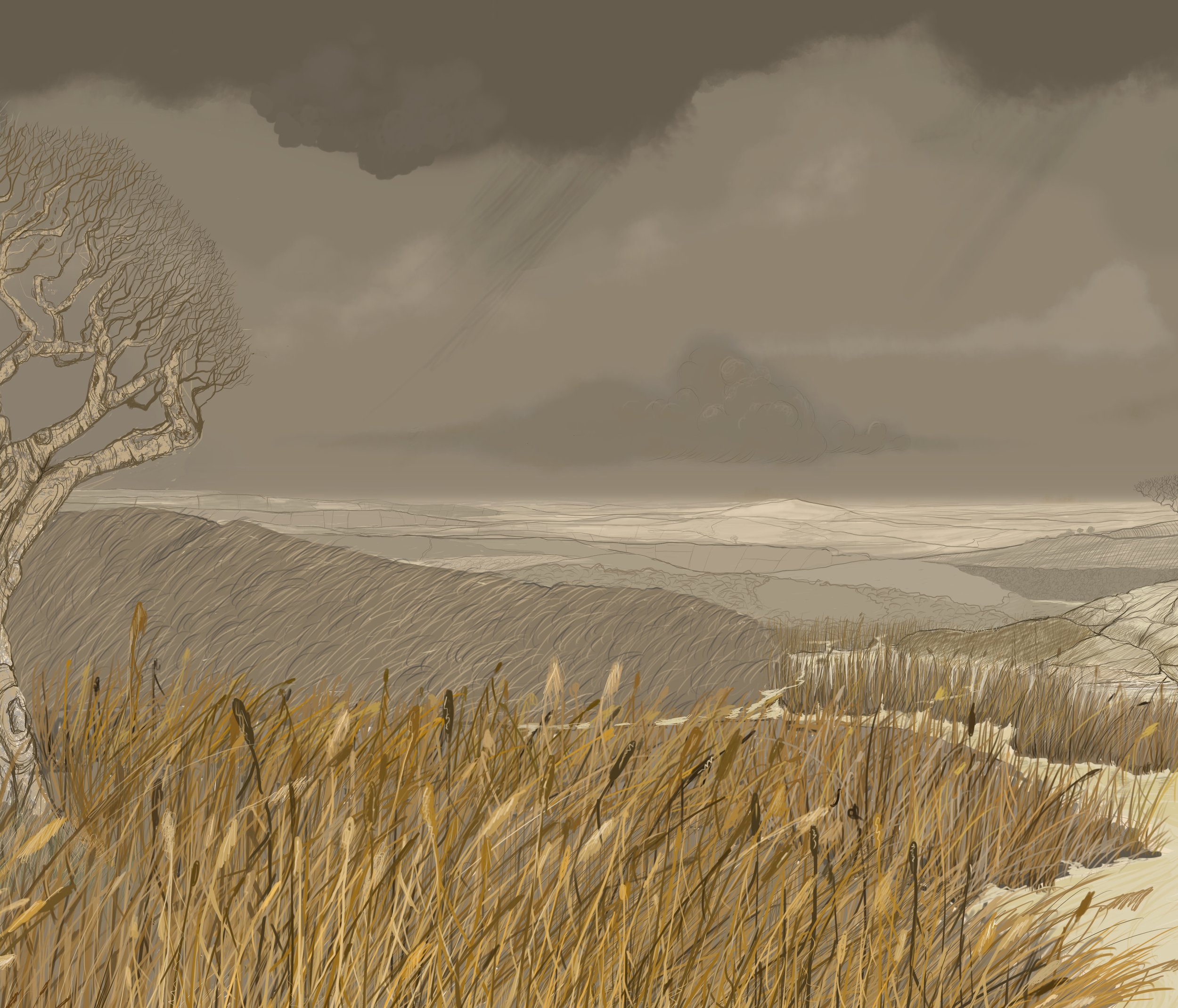 12)_The_Swan_In_The_Fen.jpg