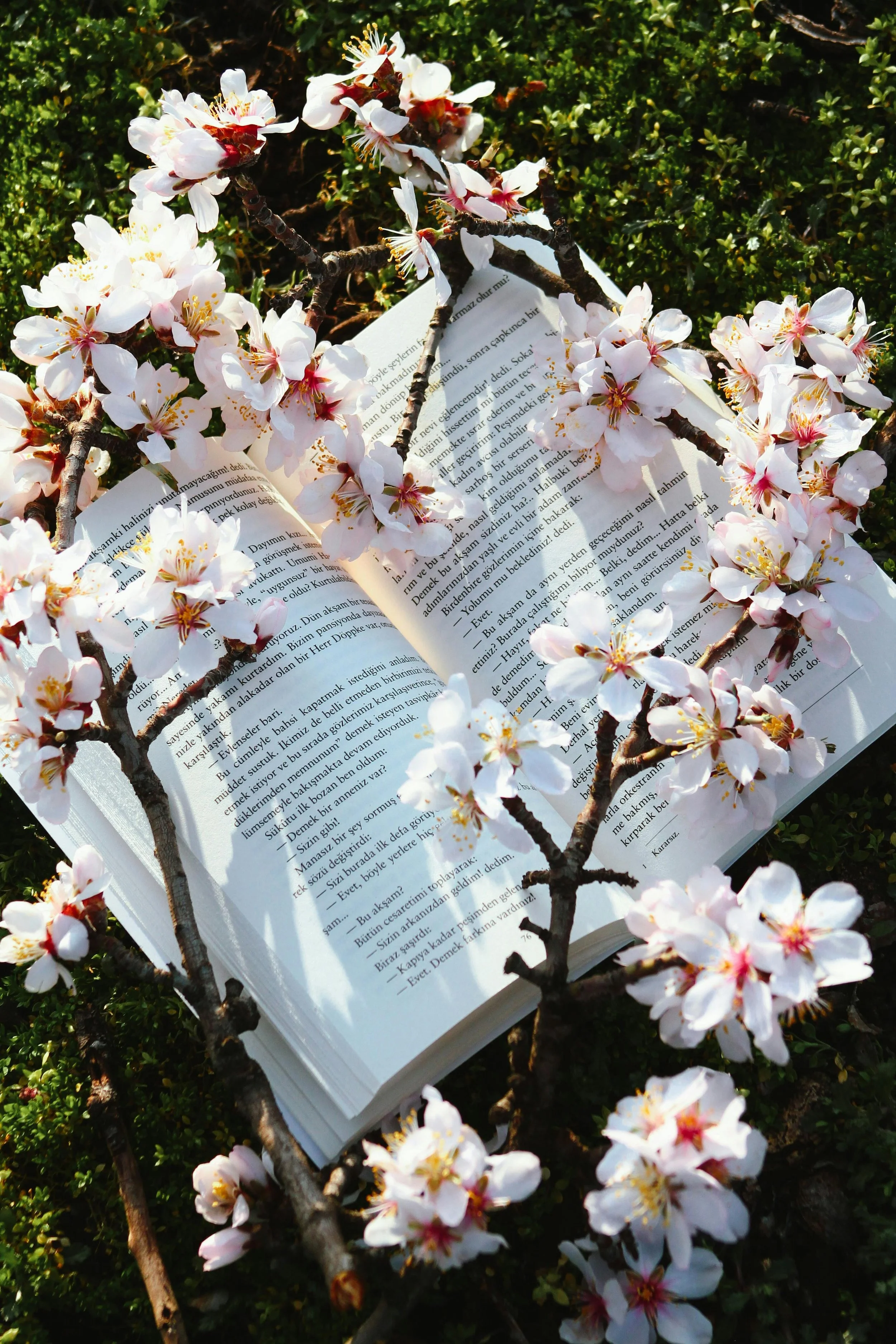 My Reading Terrain This Spring 