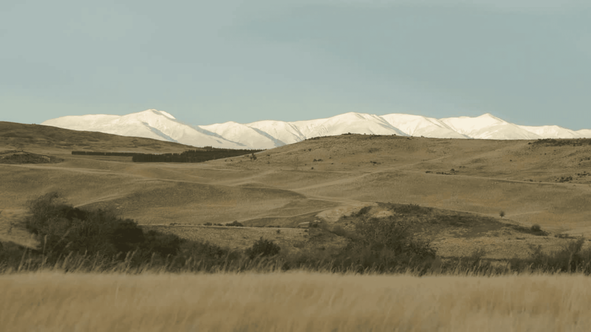 Homepage background.png