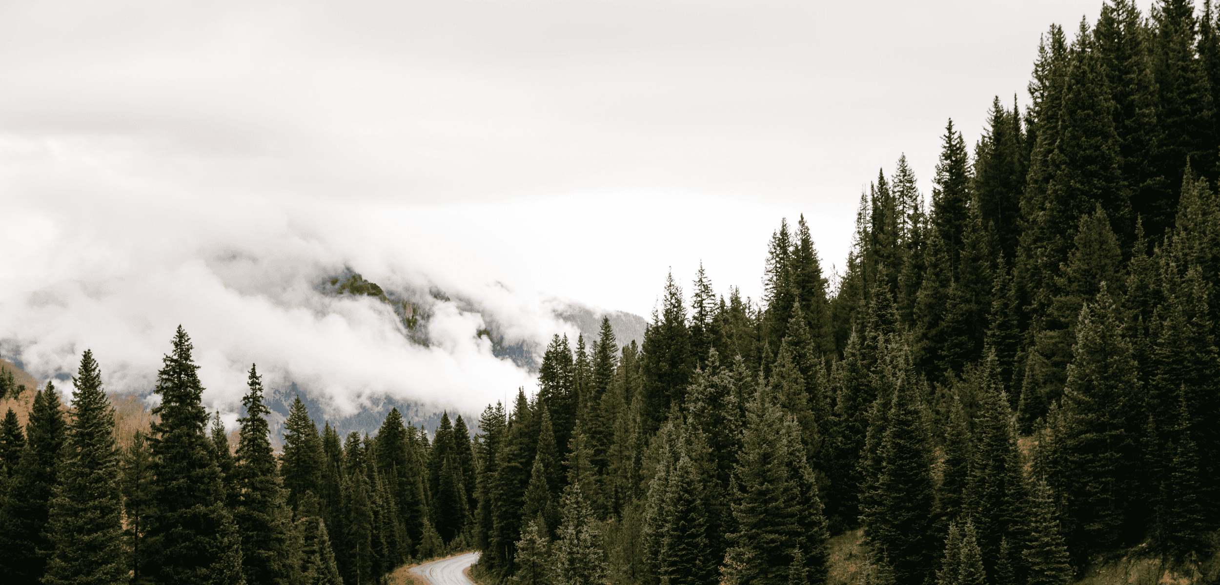 [2025] Homepage banner image.png