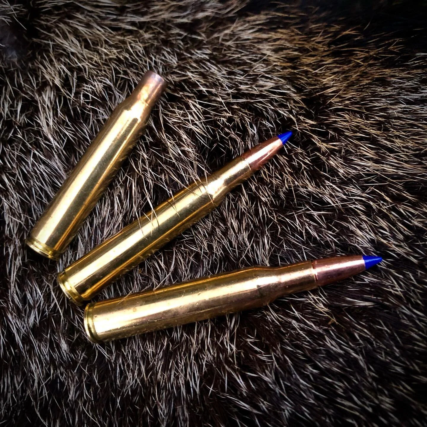 Not long now&hellip; 🦌 

Anyone else using non-toxic this year? Highly recommend the Powerhead 2 from @sako_cartridges: 110gr in the .270 has given great results for several seasons now 💥 
.
.
.
.
#deerstalking #deerstalkinguk #deerstalkingscotland