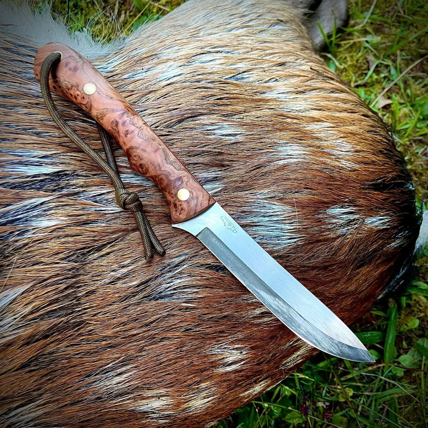 Just what I was after - a fine sika pricket. Best of luck to all the other freezer-fillers out before dawn this morning, and happy opening day, everyone! 🦌 🦌 
.
.
.
. 
#deerstalking #deerstalkinguk #deerstalkingscotland #deerstalkingireland #huntin
