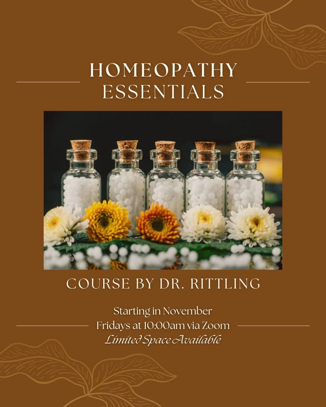 ✨ Introducing the Homeopathy Essentials Course ✨
Learn the foundational principles of homeopathy and how to confidently apply remedies for yourself and your family.
When: Fridays, Nov 7, 14, & 21 at 10 AM (MST)
Where: LIVE via Zoom
Special Beta