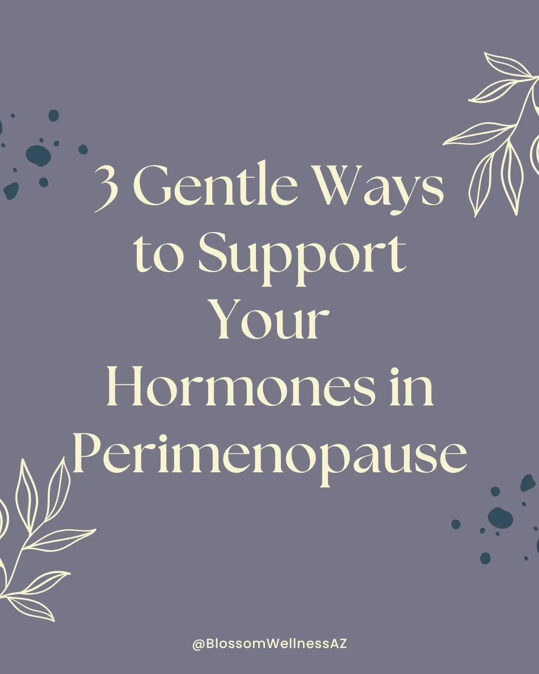 New Year, new hormone-friendly habits! 

Weight gain in perimenopause isn&rsquo;t about willpower&mdash;it&rsquo;s biology. These 3 small, simple shifts can help your body regulate weight, energy, and mood naturally. 

Learn more easy ways to work wi