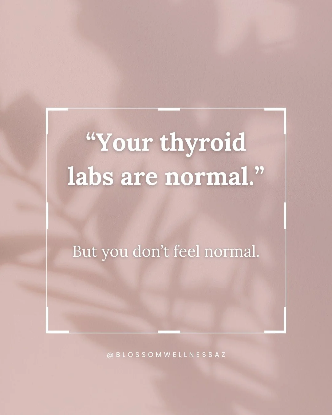 There&rsquo;s a particular kind of frustration that comes with being told, &ldquo;Everything looks normal.&rdquo;

Especially when you don&rsquo;t feel normal.
When your energy isn&rsquo;t what it used to be.
When your cycles feel different.
When you