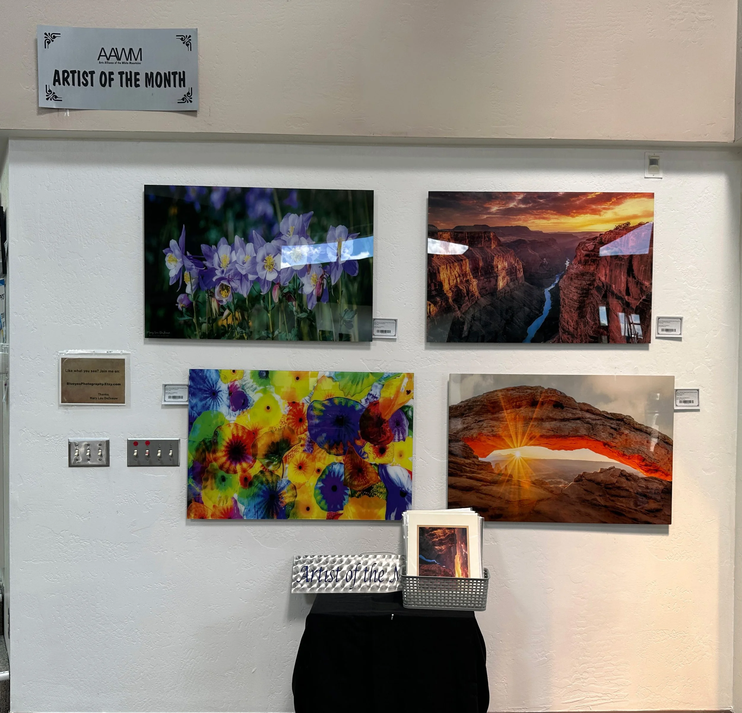 Mary Lou DeZeeuw Artist for April