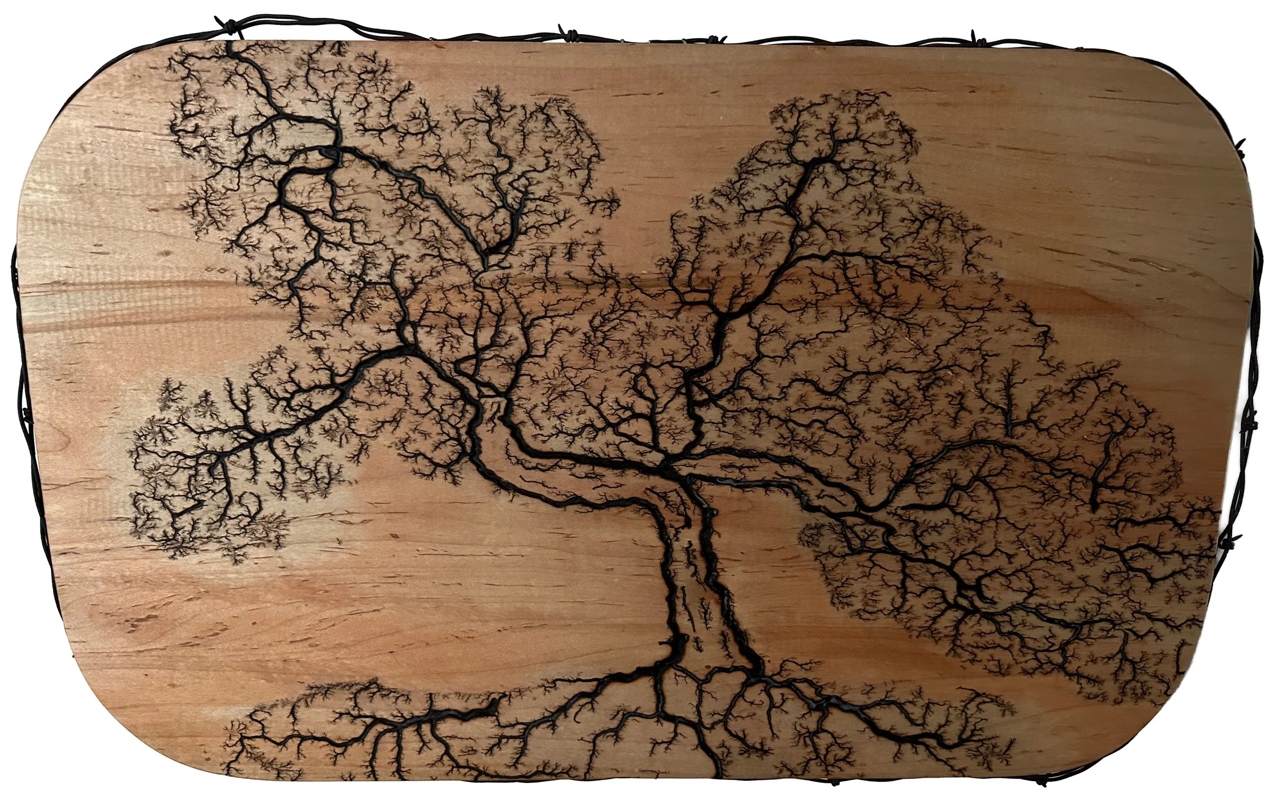 Reed Bradford Artist of the Month May 2025