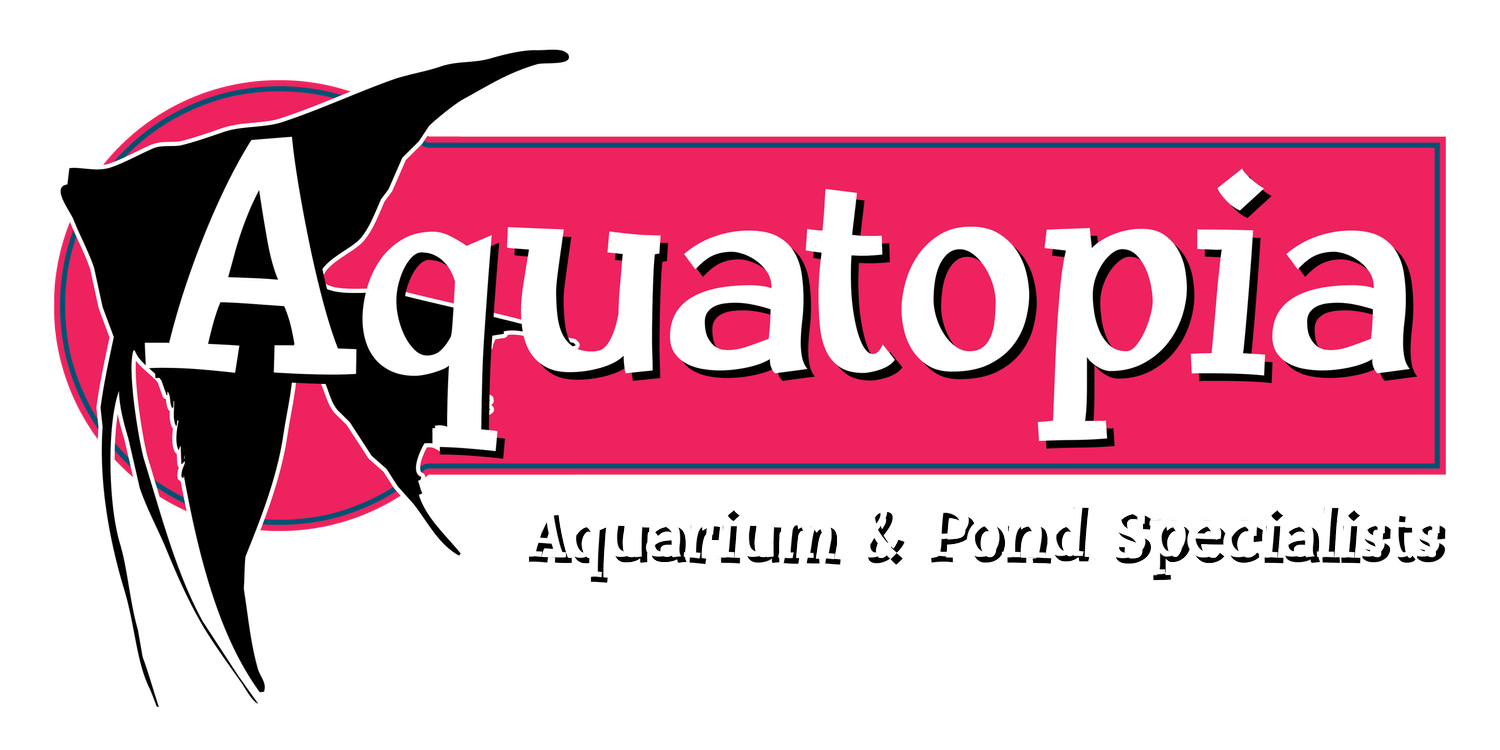 Aquatopia Of Bend