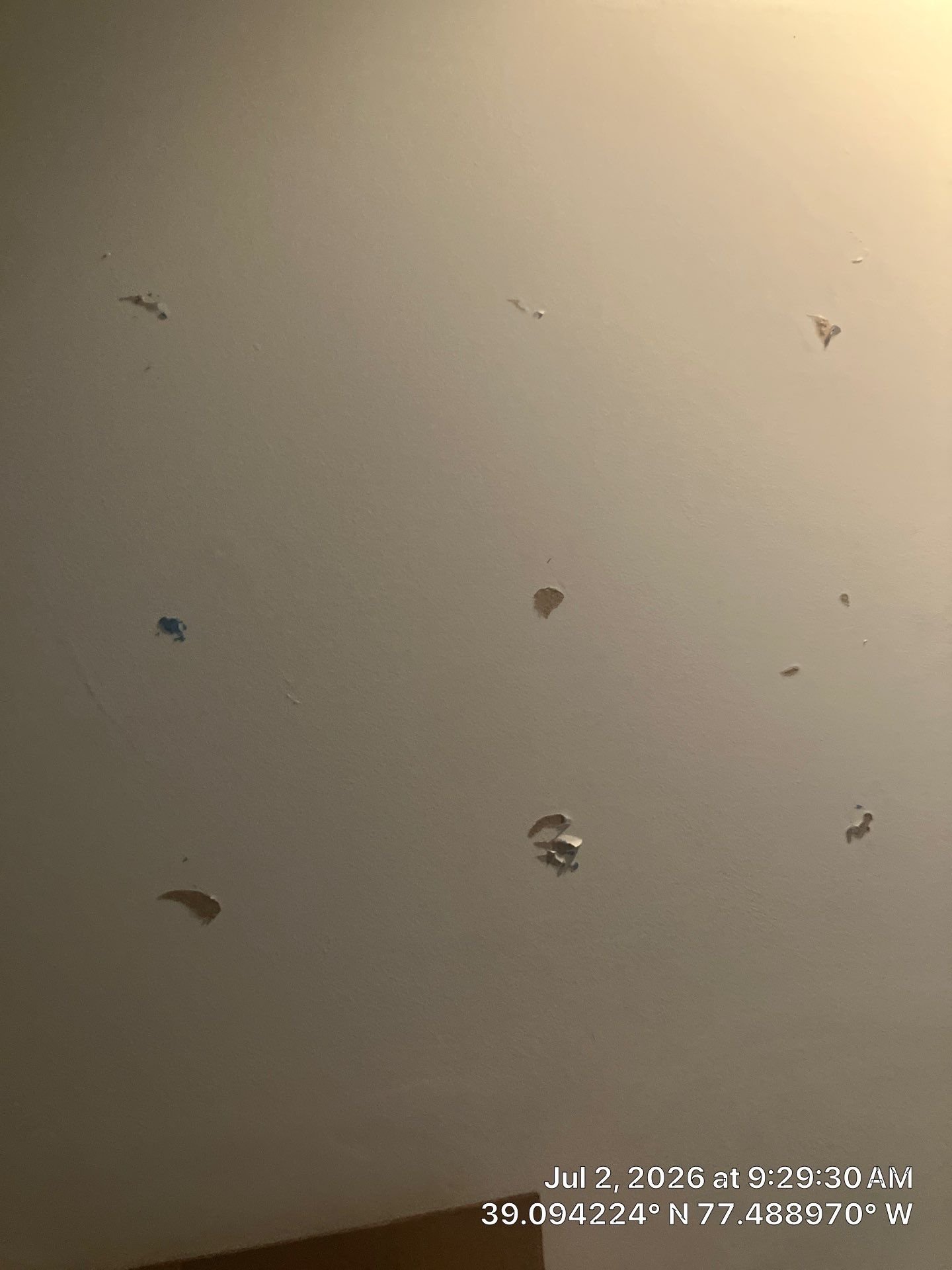 Painint_Drywalldamage.jpg