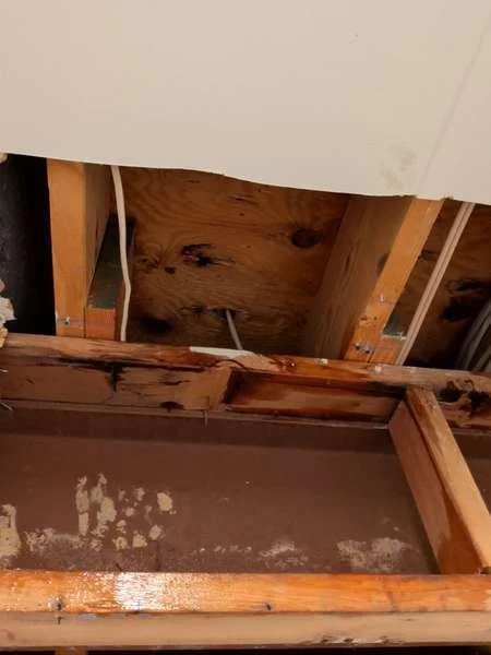 Close-up of water-stained wood framing in ceiling cavity, Vienna VA home