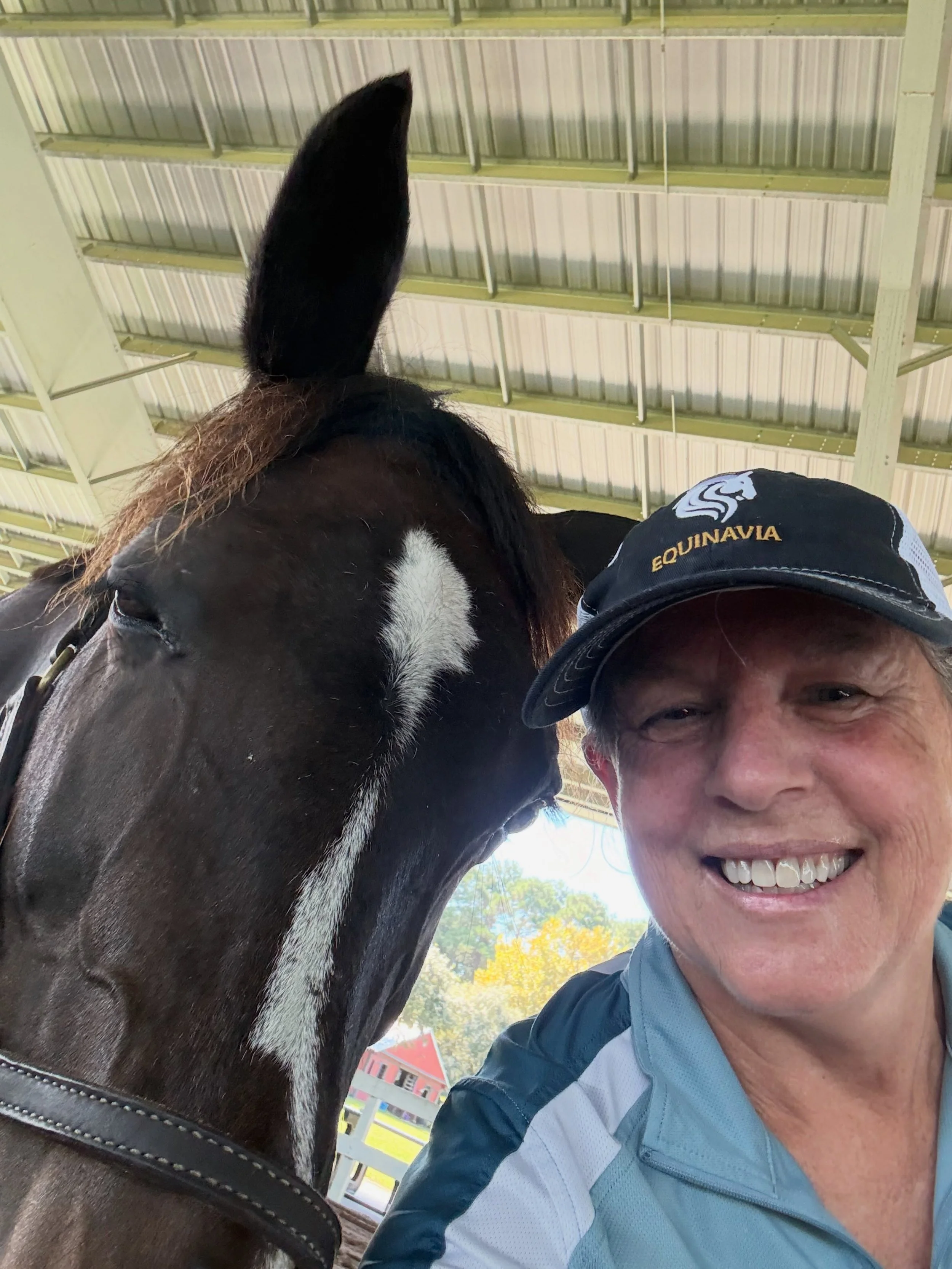 So excited to be paired with this amazing girl Sunny at Charleston Area Therapeutic Riding @catrprogram . Sunny was an eventing horse before coming to CATR. Now she brings happiness to kids and adults. She a good listener, always tries her best, and 