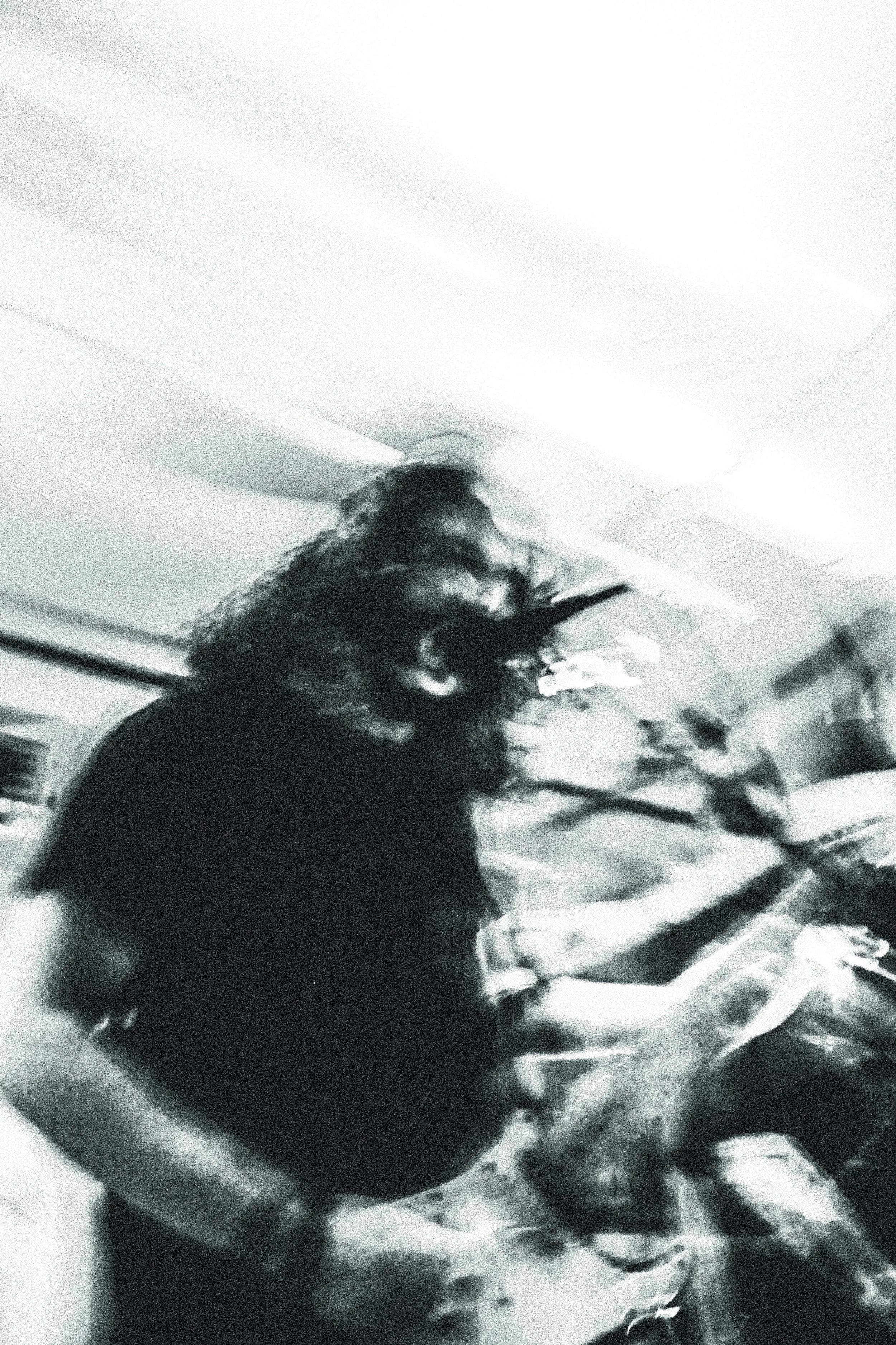 tofdratsedit-50.jpg
