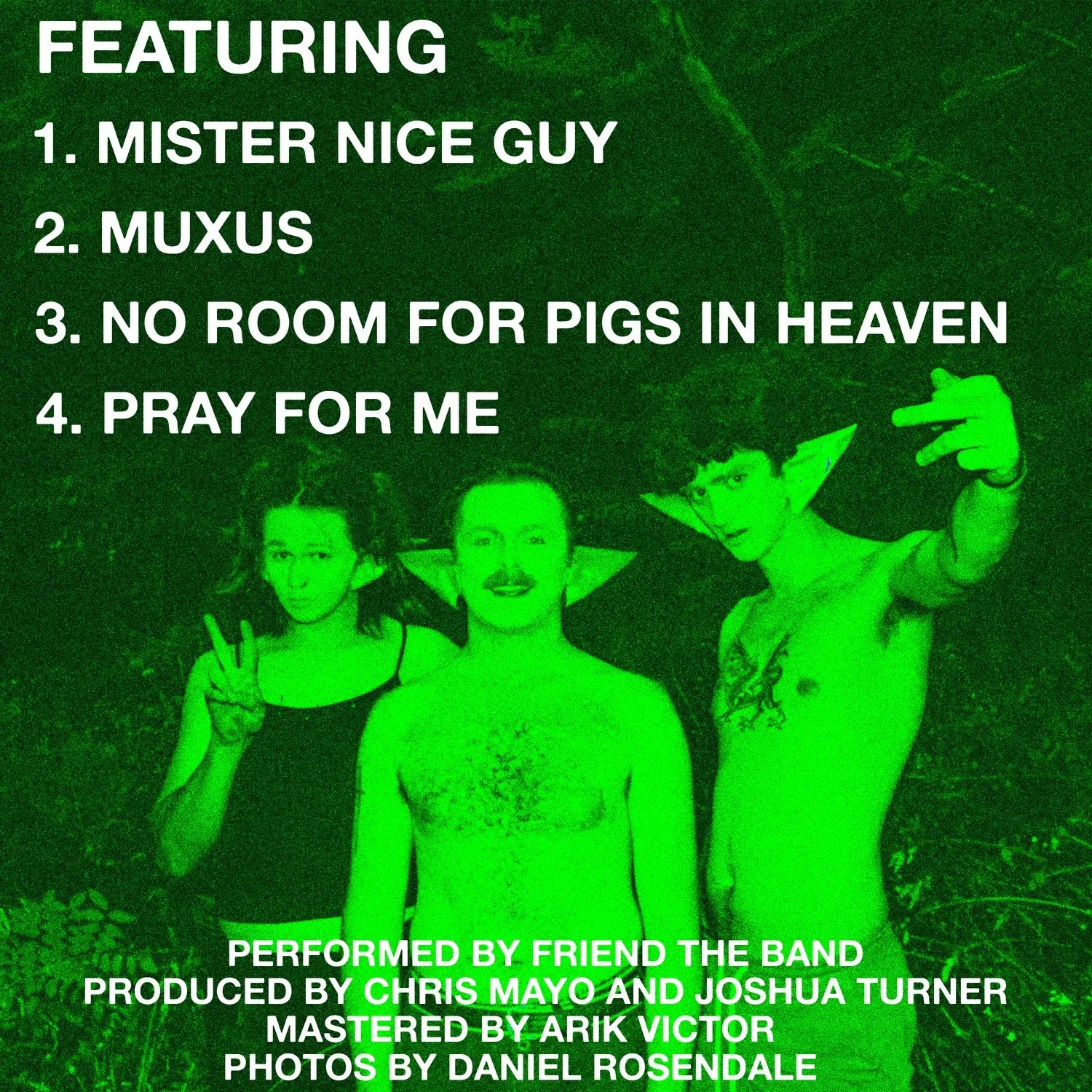 GOBLIN BACK COVER.jpeg