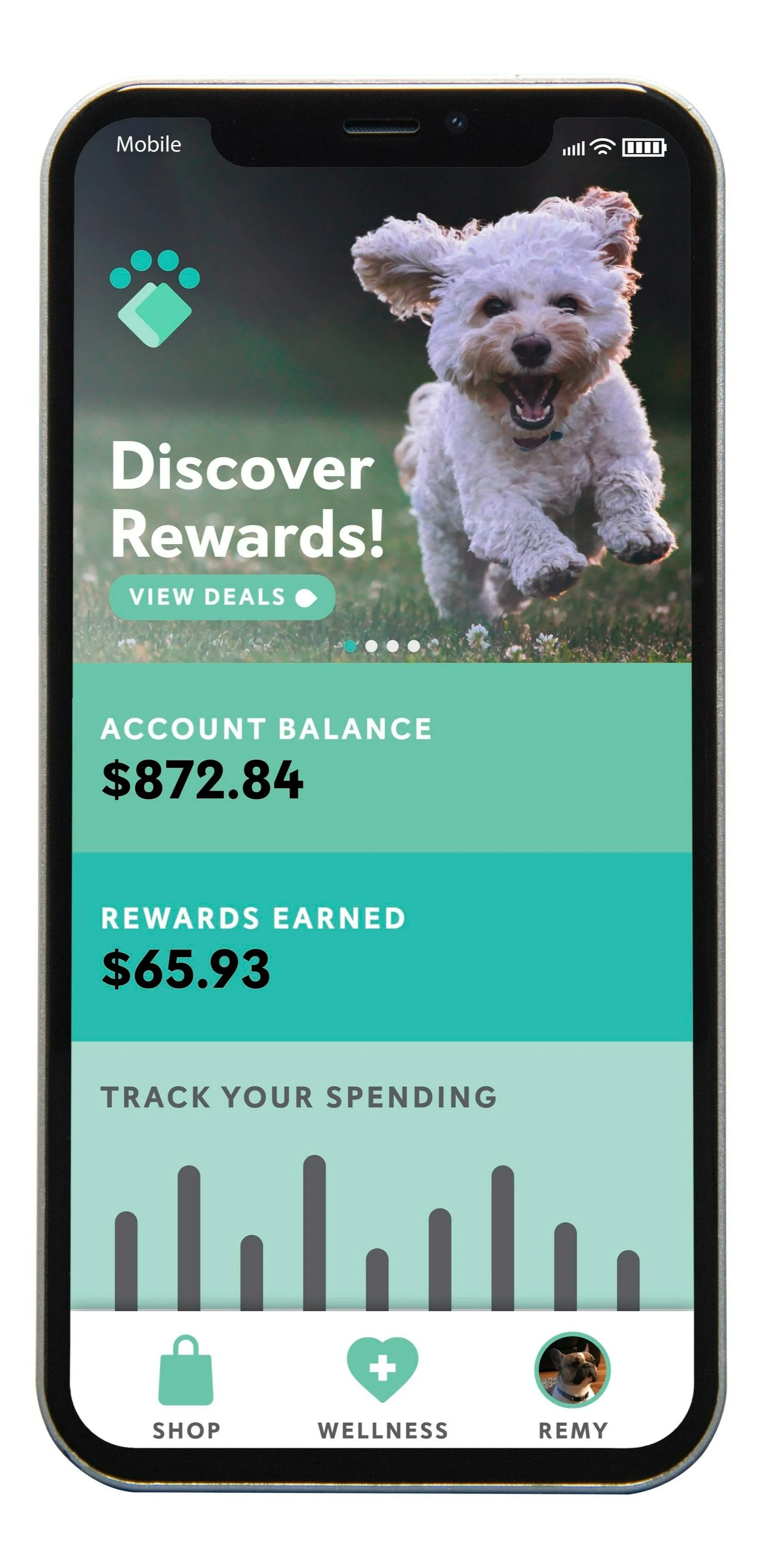 Petter Pet Reward Debit Card