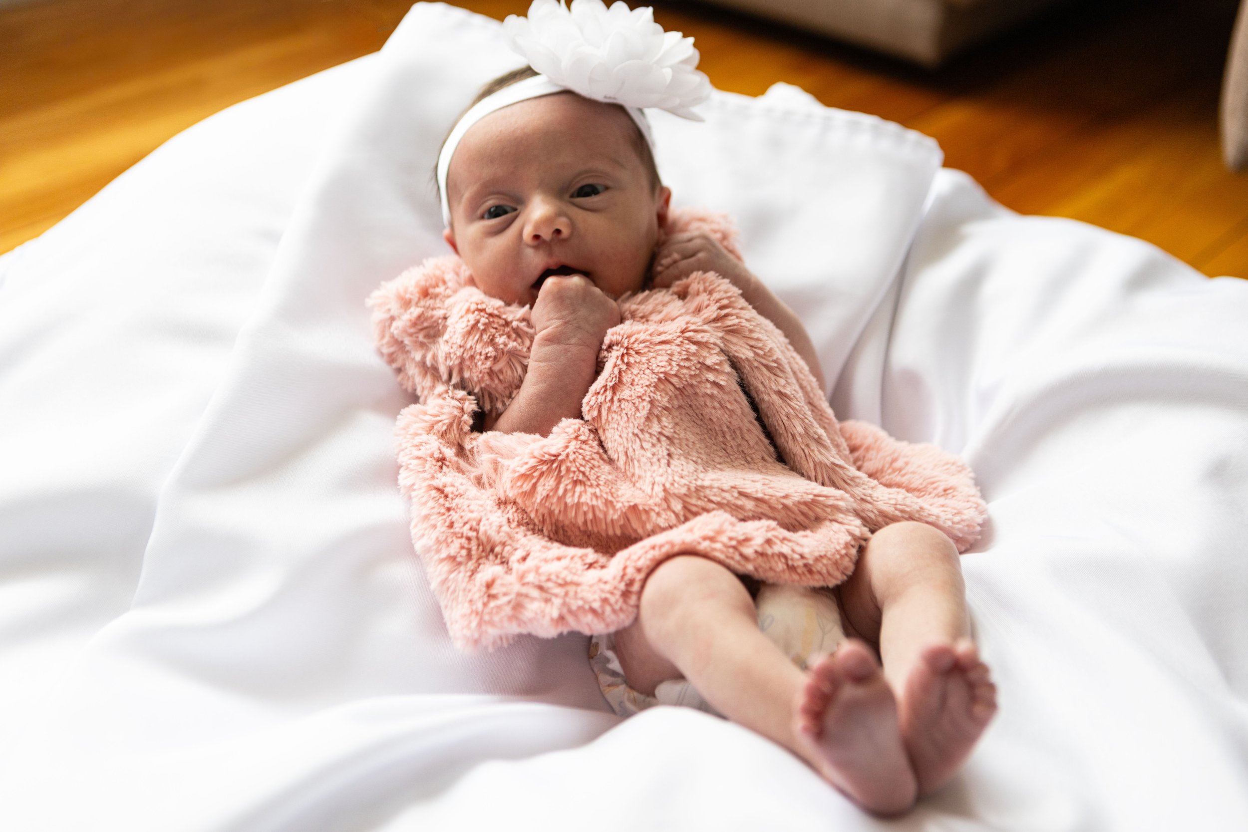 Lily's Christmas Photos_56.jpg