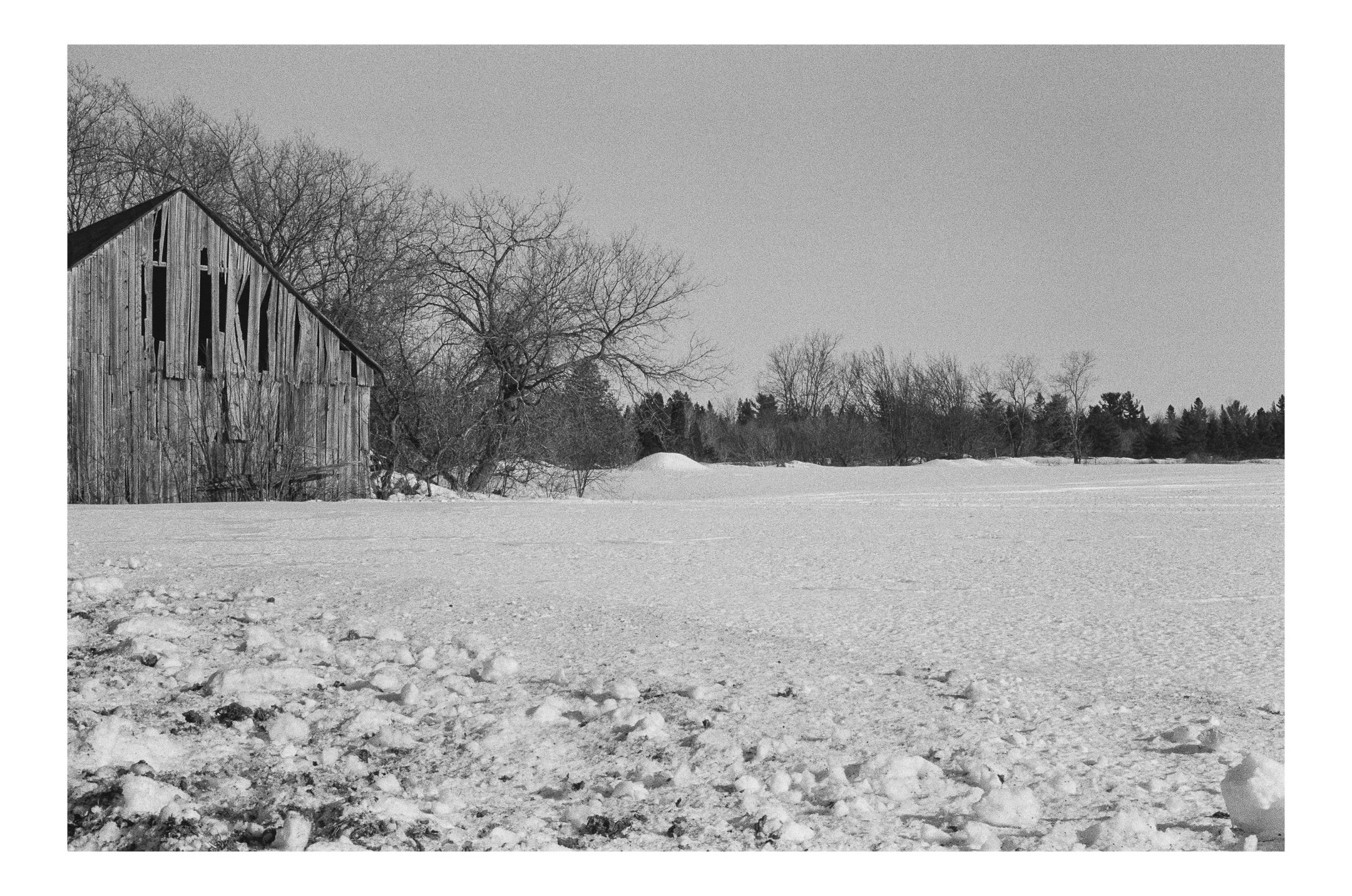 A black and white photo of a snowy landscape with an old abandoned wooden barn on the left and leafless trees in the background. Shot on Ilford HP5.