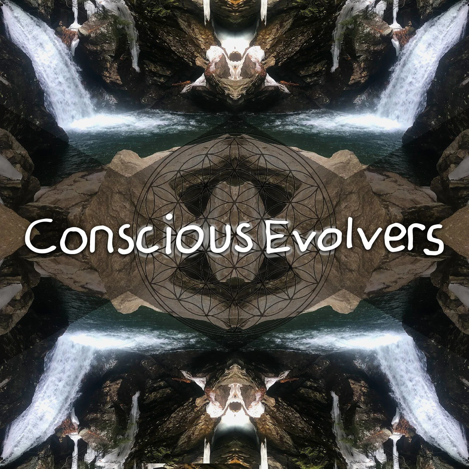 Conscious Evolvers Vol 1