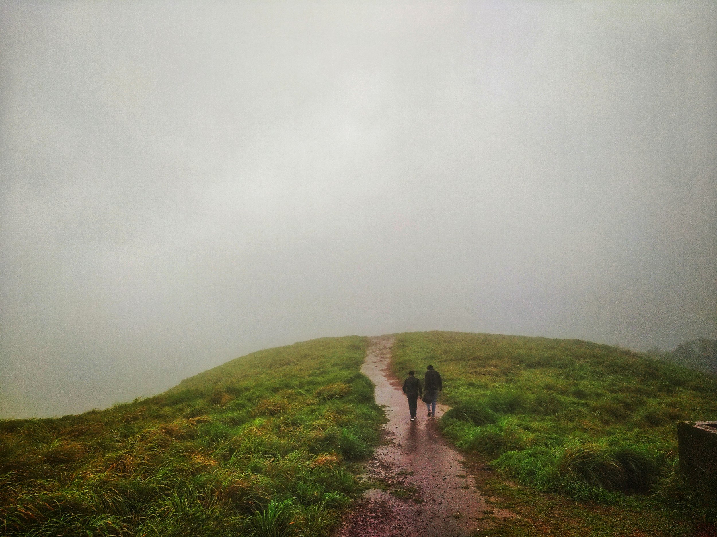 newt0n-cIwg1-2kWM0-unsplash.jpg