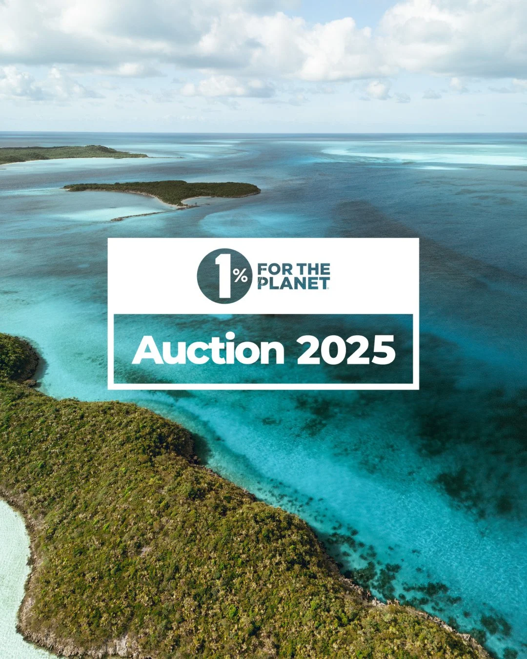 Protecting where we play is a top priority at Saturday Swimwear, which is why we are proud to be a @1percentftp member.
Every year, 1% for the Planet hosts an auction to help further their mission of protecting people and the planet.
Along with hun